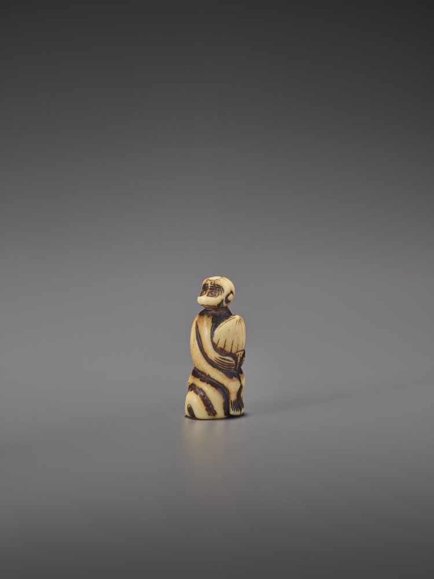 A STAG ANTLER NETSUKE OF A MONKEY WITH CHESTNUT UnsignedJapan, 18th century, Edo period (1615-1868) - Bild 2 aus 7