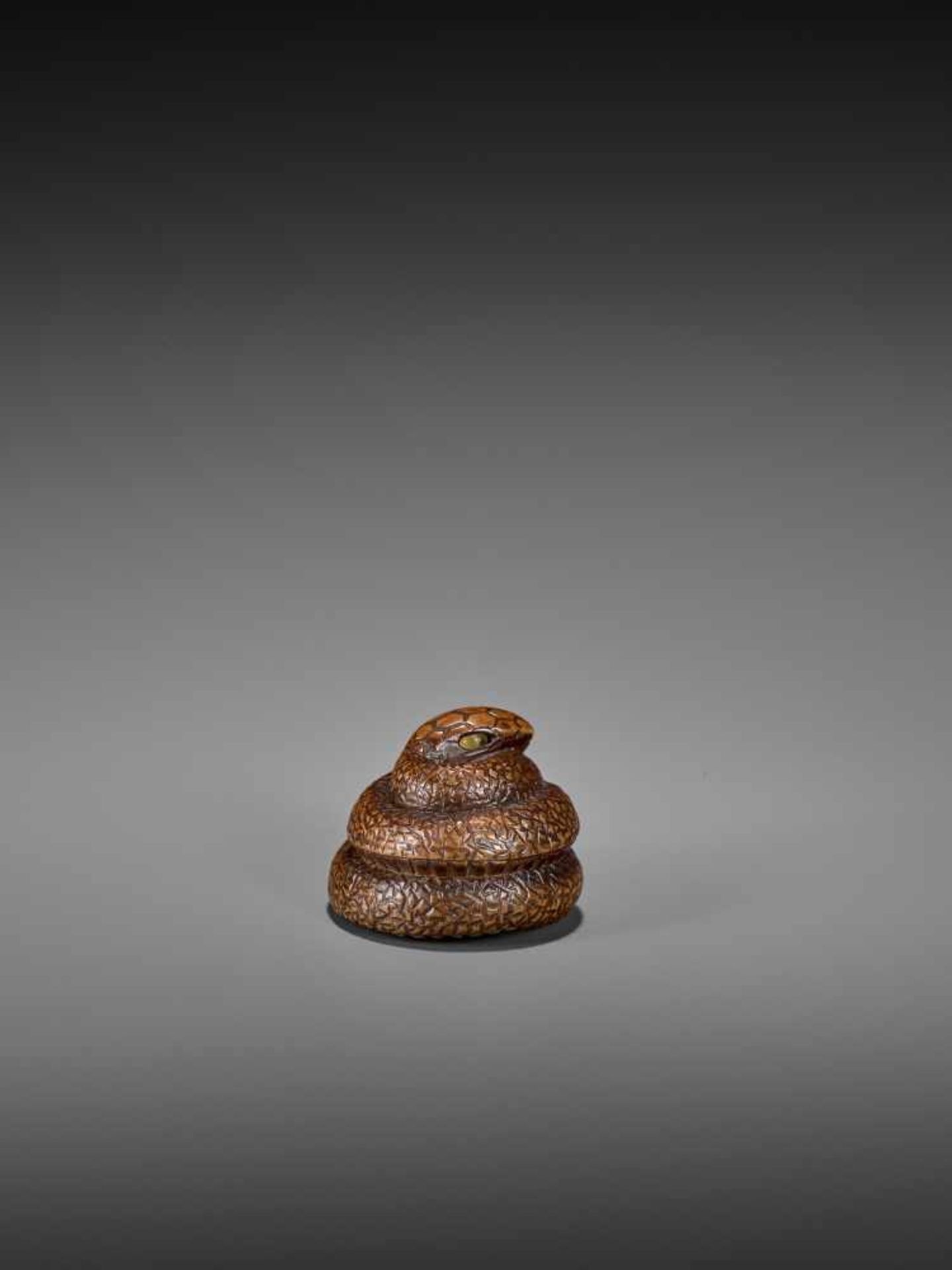 SARI: A FINE WOOD NETSUKE OF A COILED SNAKE By Sari, signed SariJapan, Iwashiro, early 19th century, - Image 2 of 9