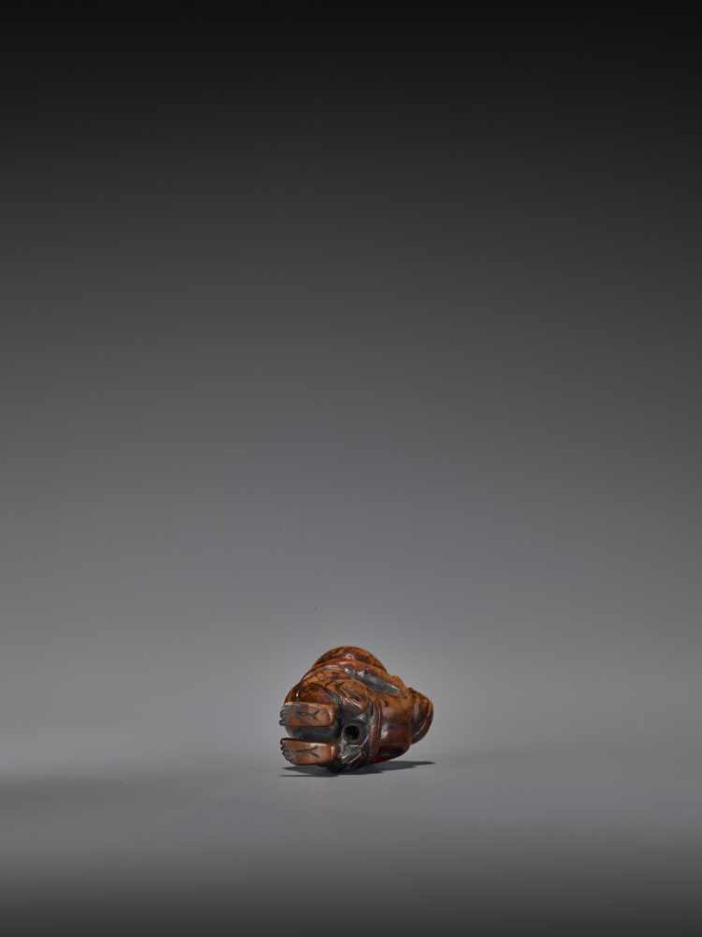 TOMOMASA: AN AMUSING WOOD NETSUKE OF A TANUKI WITH GIANT SCROTUM By Tomomasa, signed - Image 7 of 8