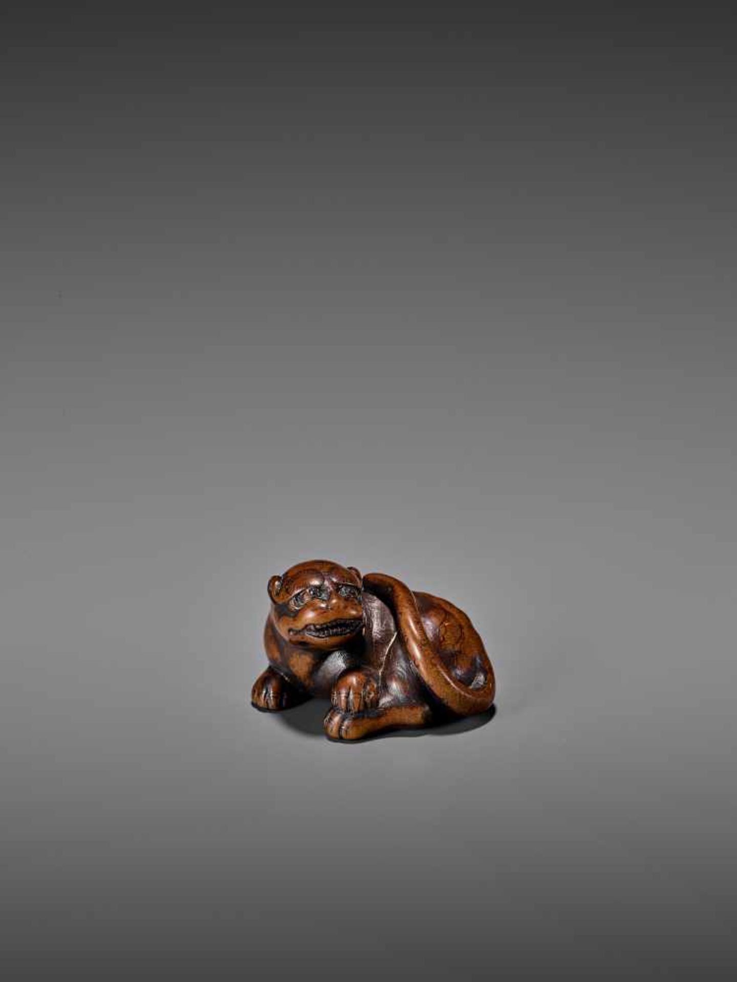 AN AMUSING WOOD NETSUKE OF A RECUMBENT TIGER UnsignedJapan, early 19th century, Edo period (1615- - Image 8 of 9