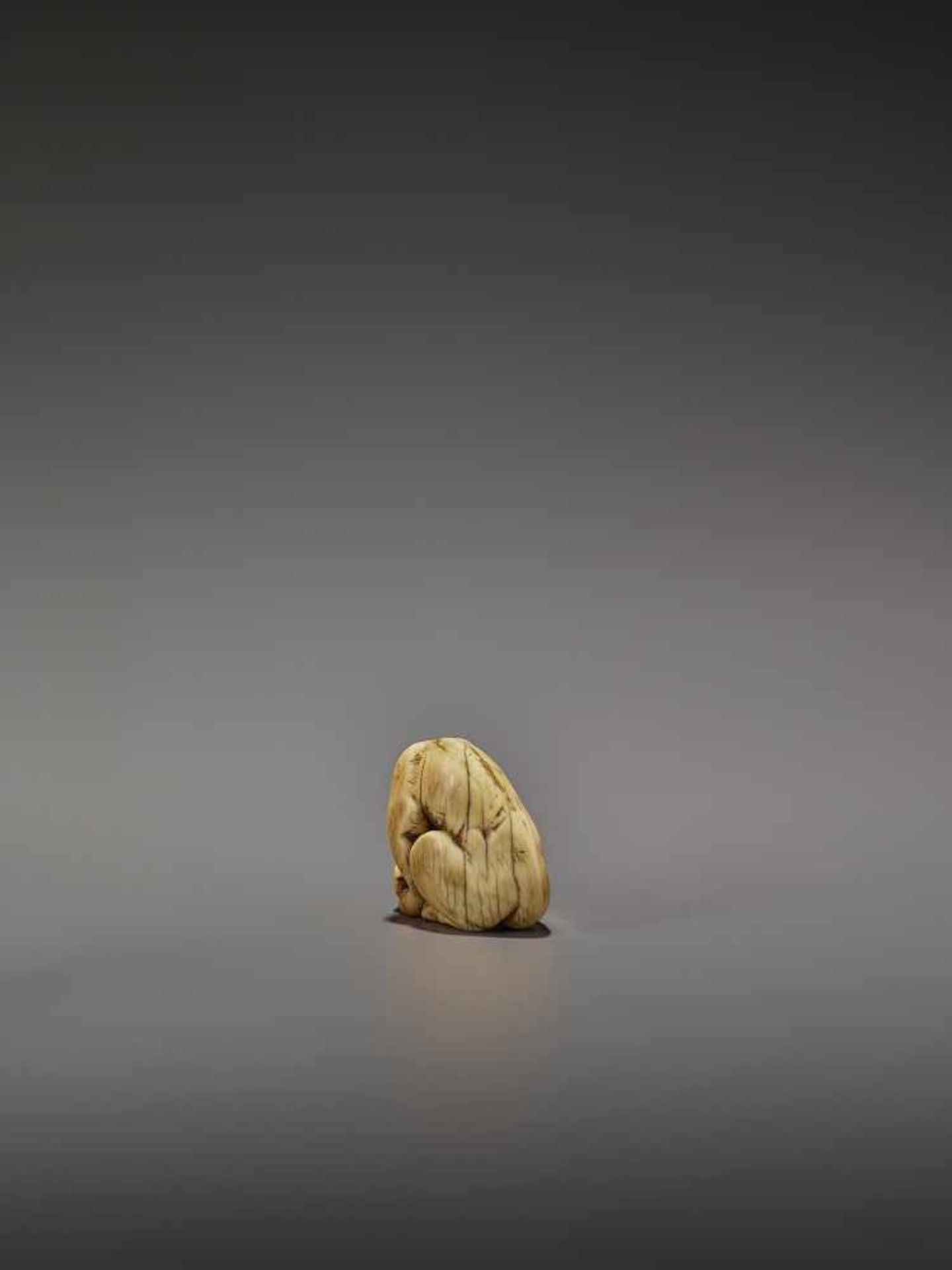 AN EARLY IVORY NETSUKE OF A WOLF WITH HAUNCH UnsignedJapan, Kyoto, 18th century, Edo period (1615- - Image 7 of 10