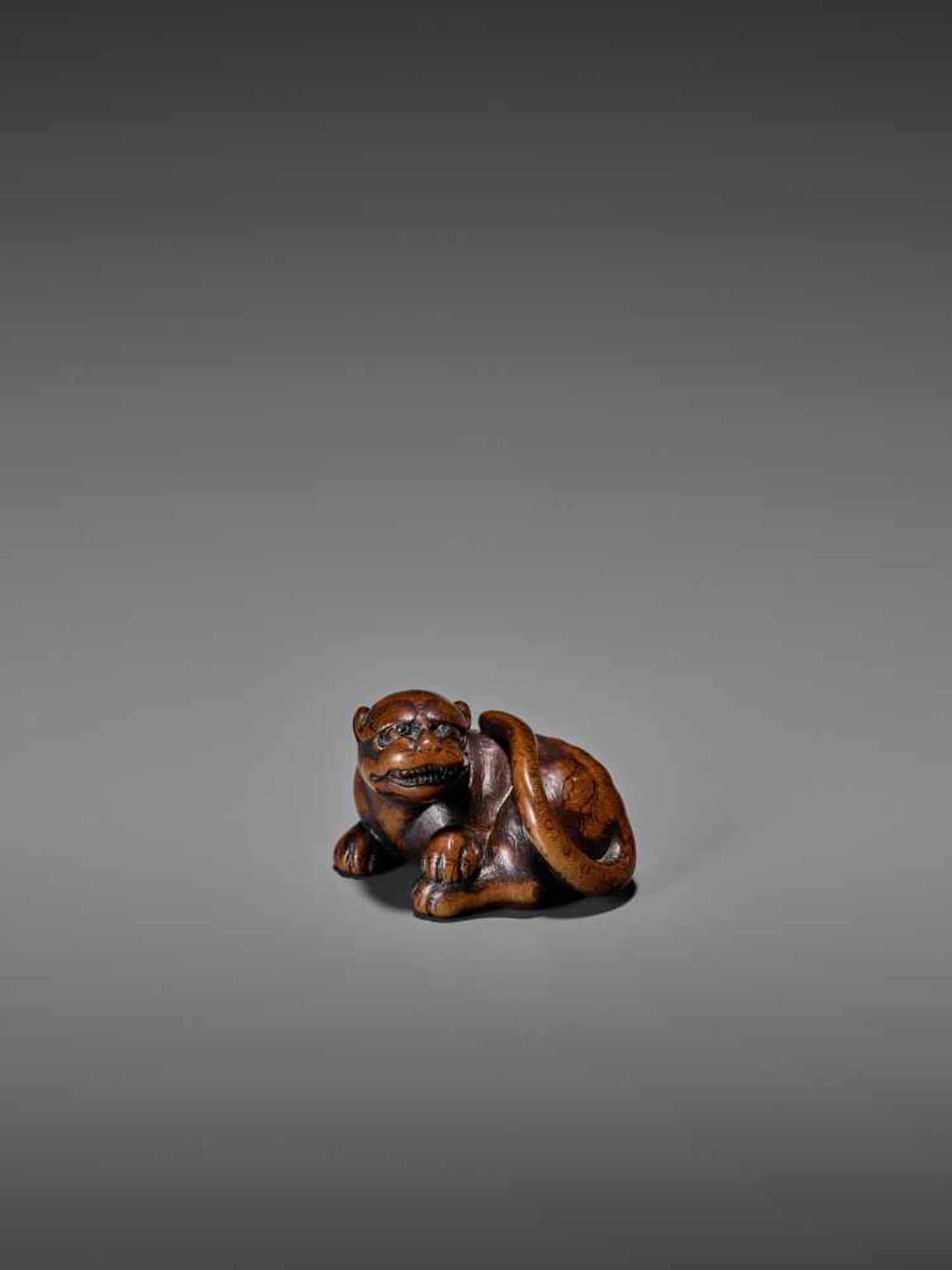 AN AMUSING WOOD NETSUKE OF A RECUMBENT TIGER UnsignedJapan, early 19th century, Edo period (1615- - Bild 2 aus 9