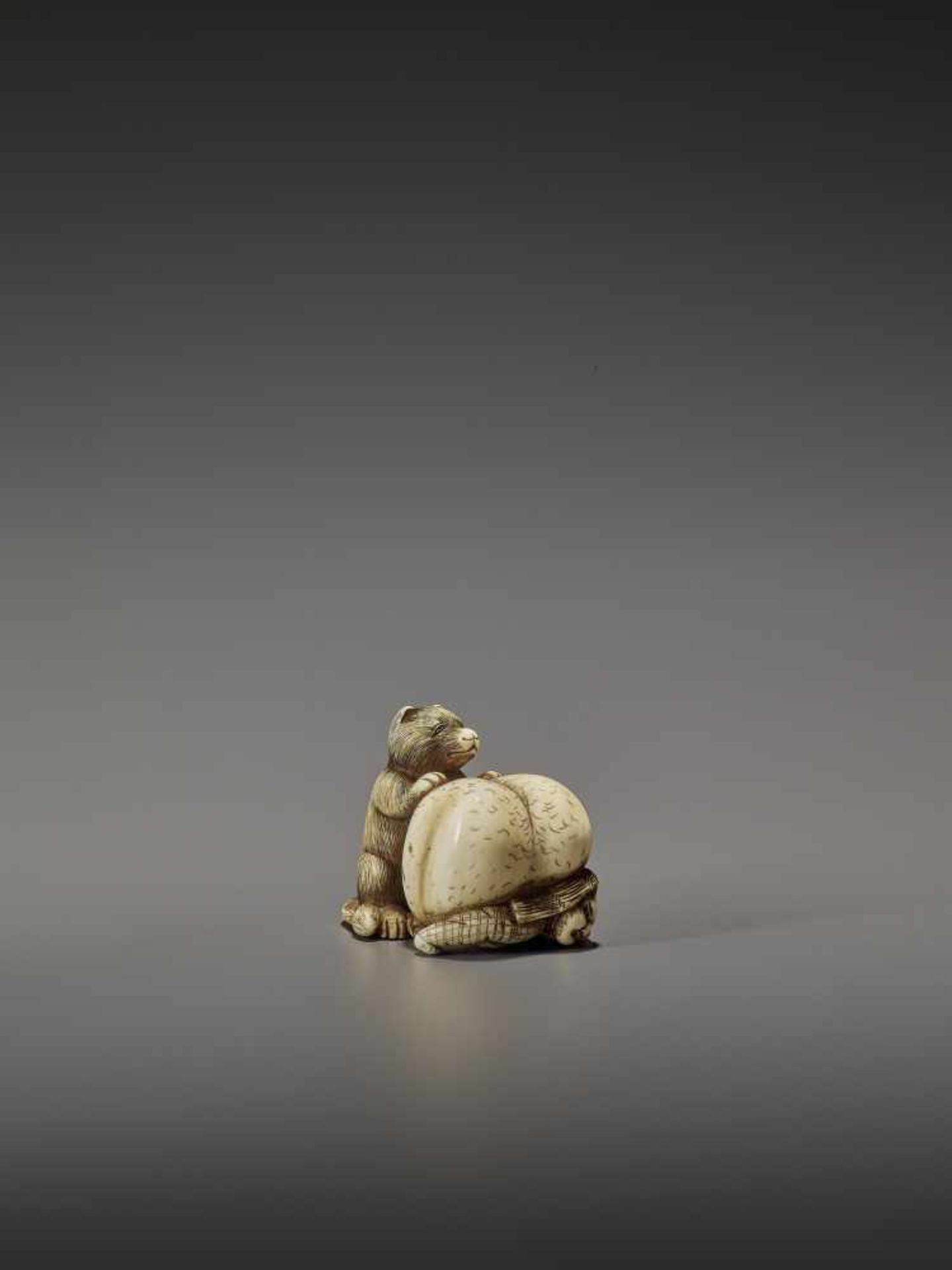 SHUNGETSU: IVORY NETSUKE OF A TANUKI SUFFOCATING A HUNTER WITH HIS SCROTUM By Shungetsu, signed - Bild 8 aus 11