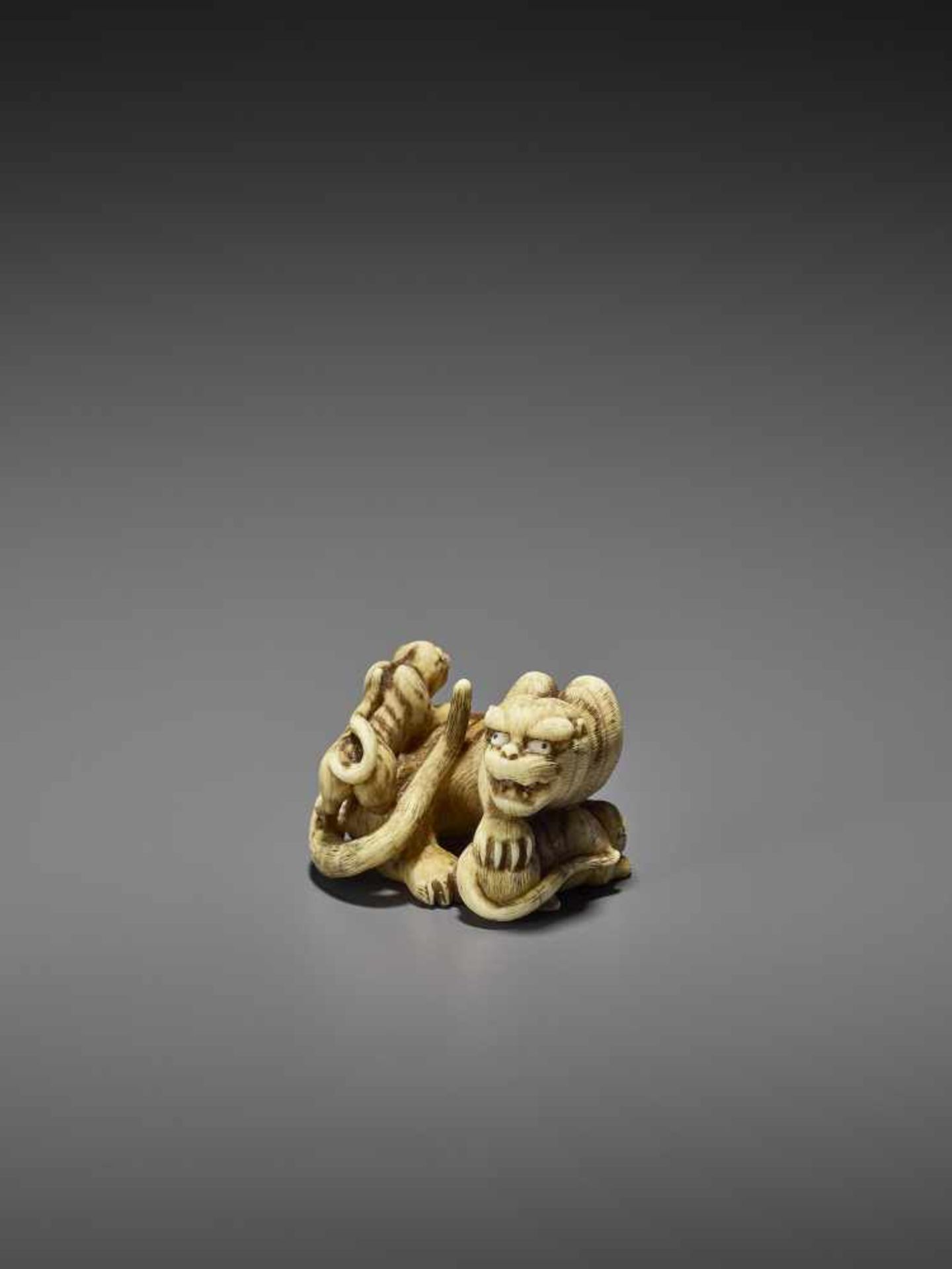 HAKURYU: AN EXCEPTIONAL IVORY NETSUKE OF A TIGER WITH TWO CUBS By Unsho Hakuryu II, signed