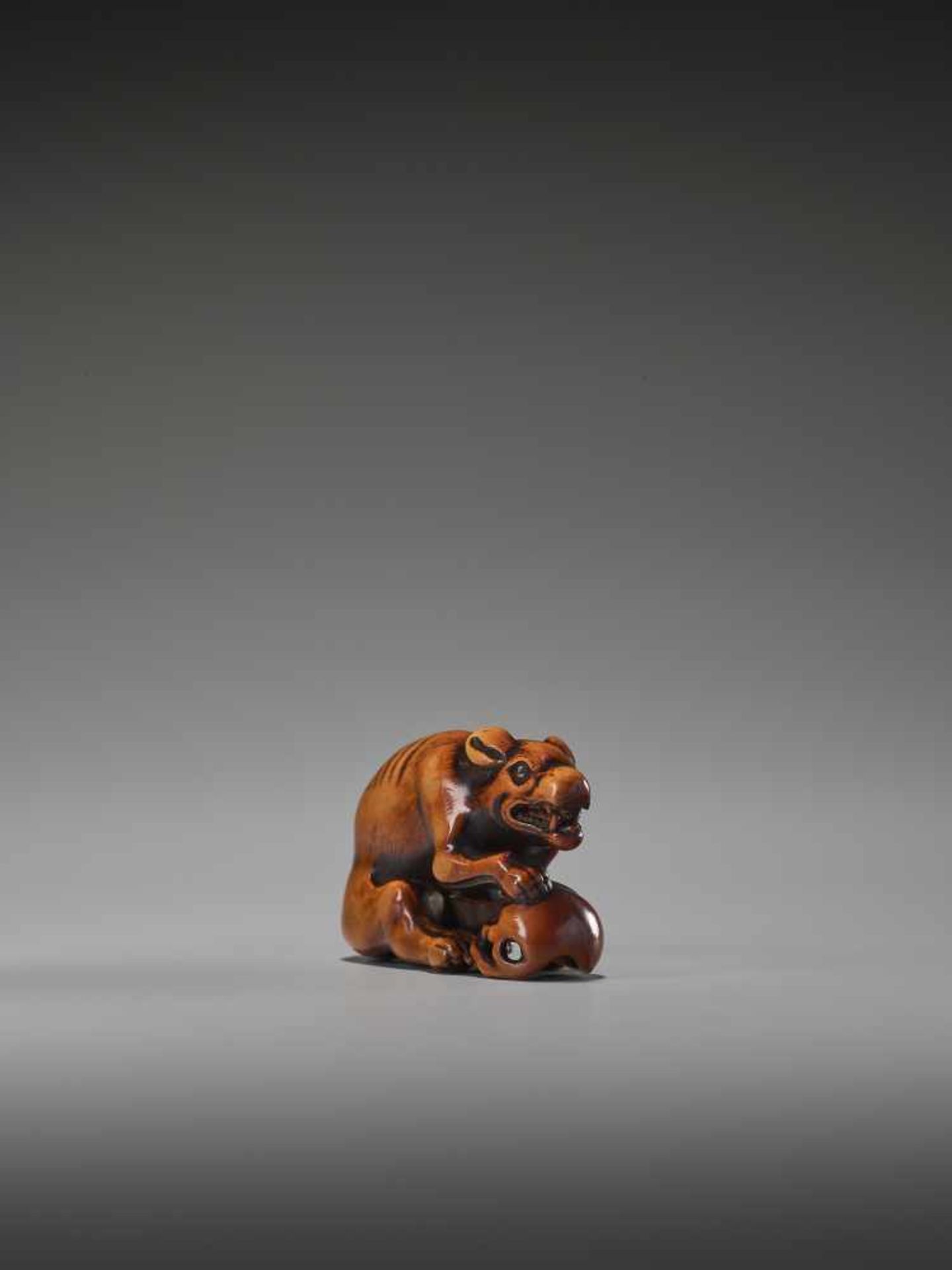 A POWERFUL WOOD NETSUKE OF A WOLF WITH A SKULL UnsignedJapan, 18th century, Edo period (1615-1868) - Image 4 of 9