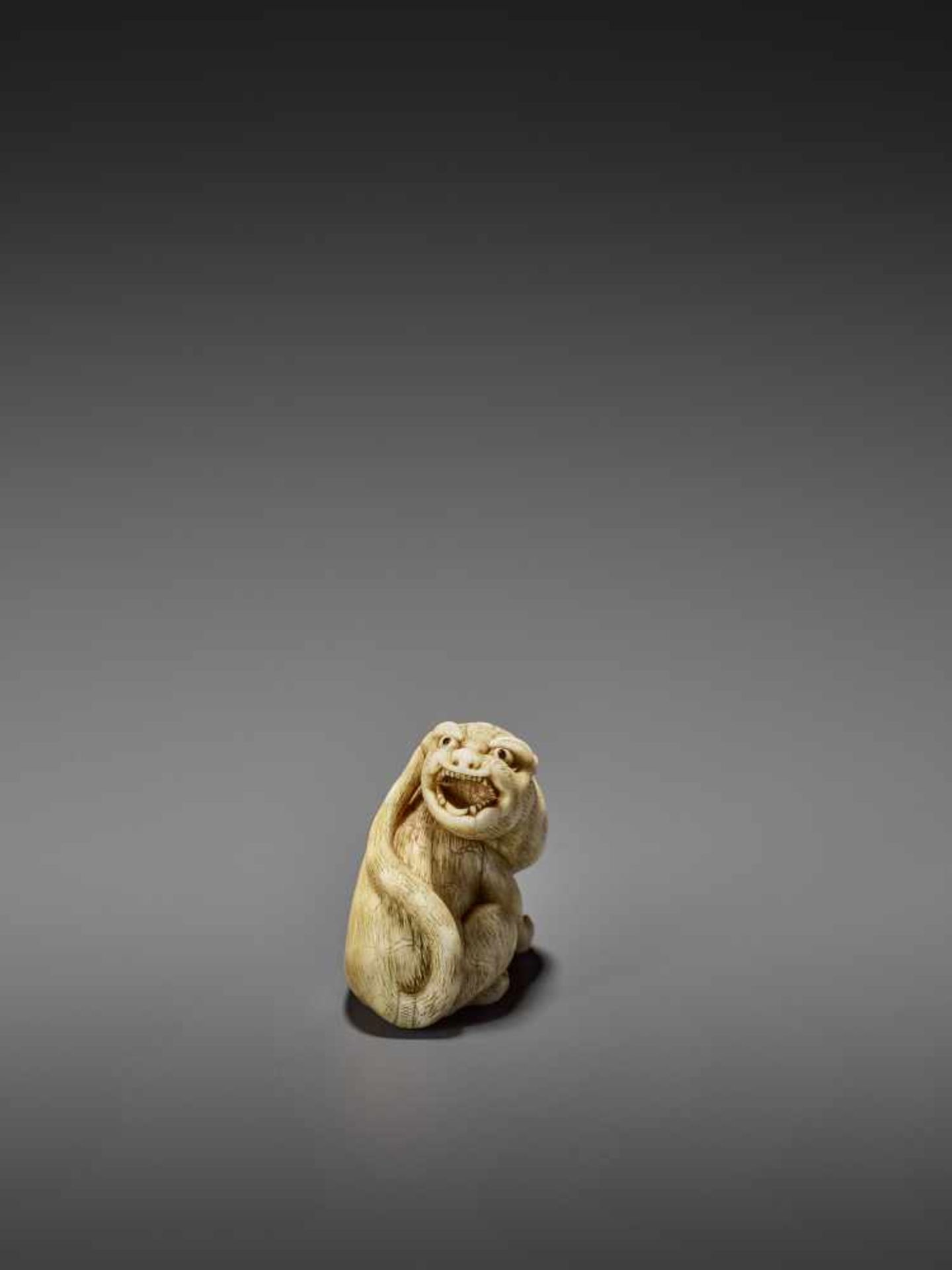 MITSUSHIGE: A POWERFUL IVORY NETSUKE OF A TIGER By Mitsushige, signed MitsushigeJapan, Kyoto, late - Image 8 of 12