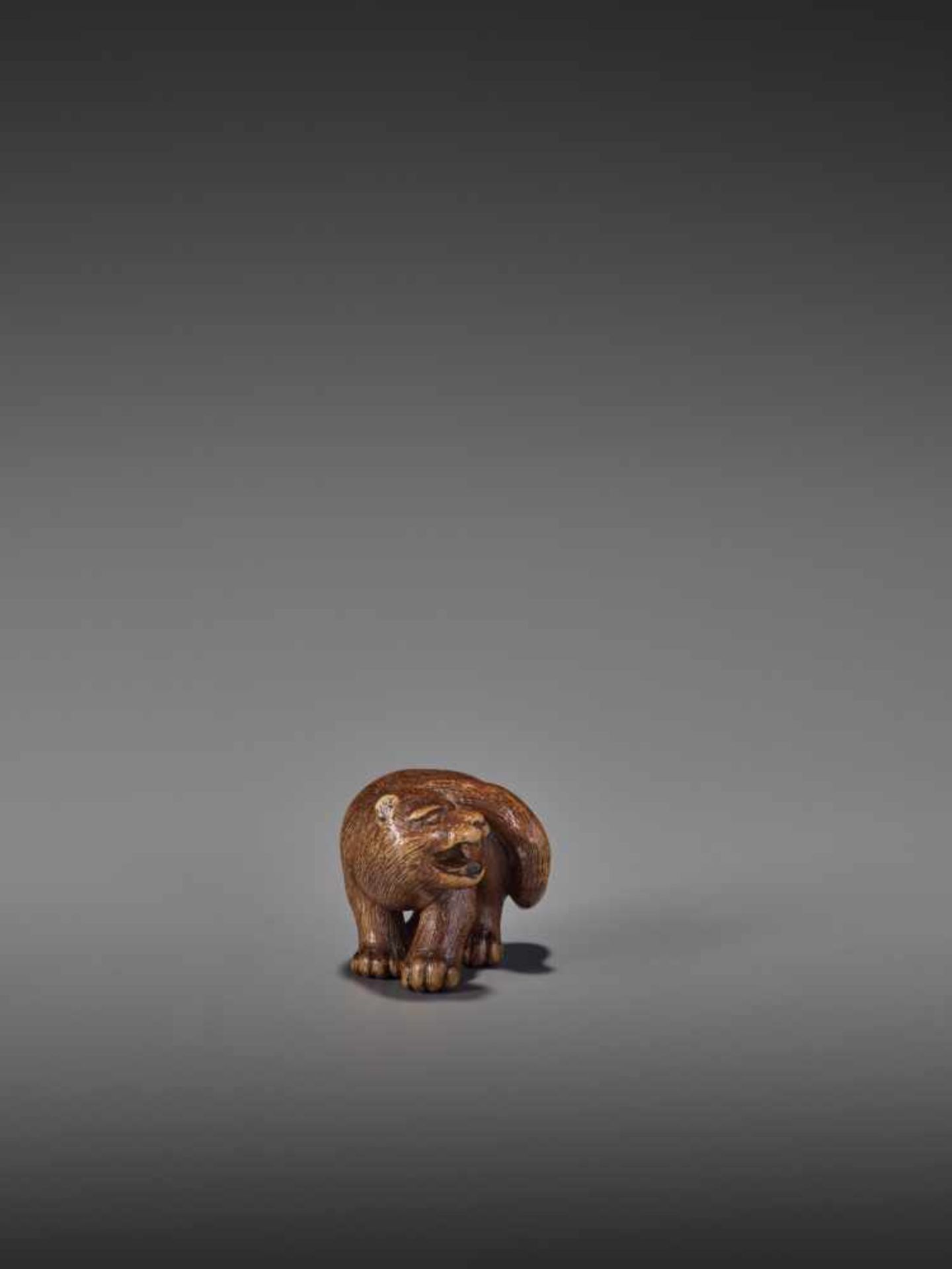 A RARE WOOD NETSUKE OF A SNARLING TIGER UnsignedJapan, 19th century, Edo period (1615-1868)A compact - Image 7 of 11