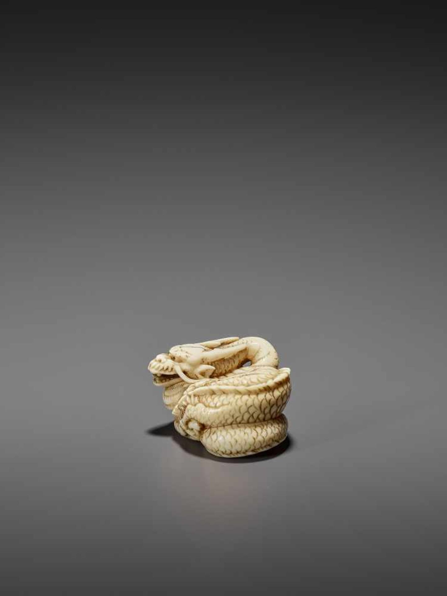 A GOOD IVORY NETSUKE OF A COILED DRAGON UnsignedJapan, Kyoto, late 18th to early 19th century, Edo - Bild 5 aus 10