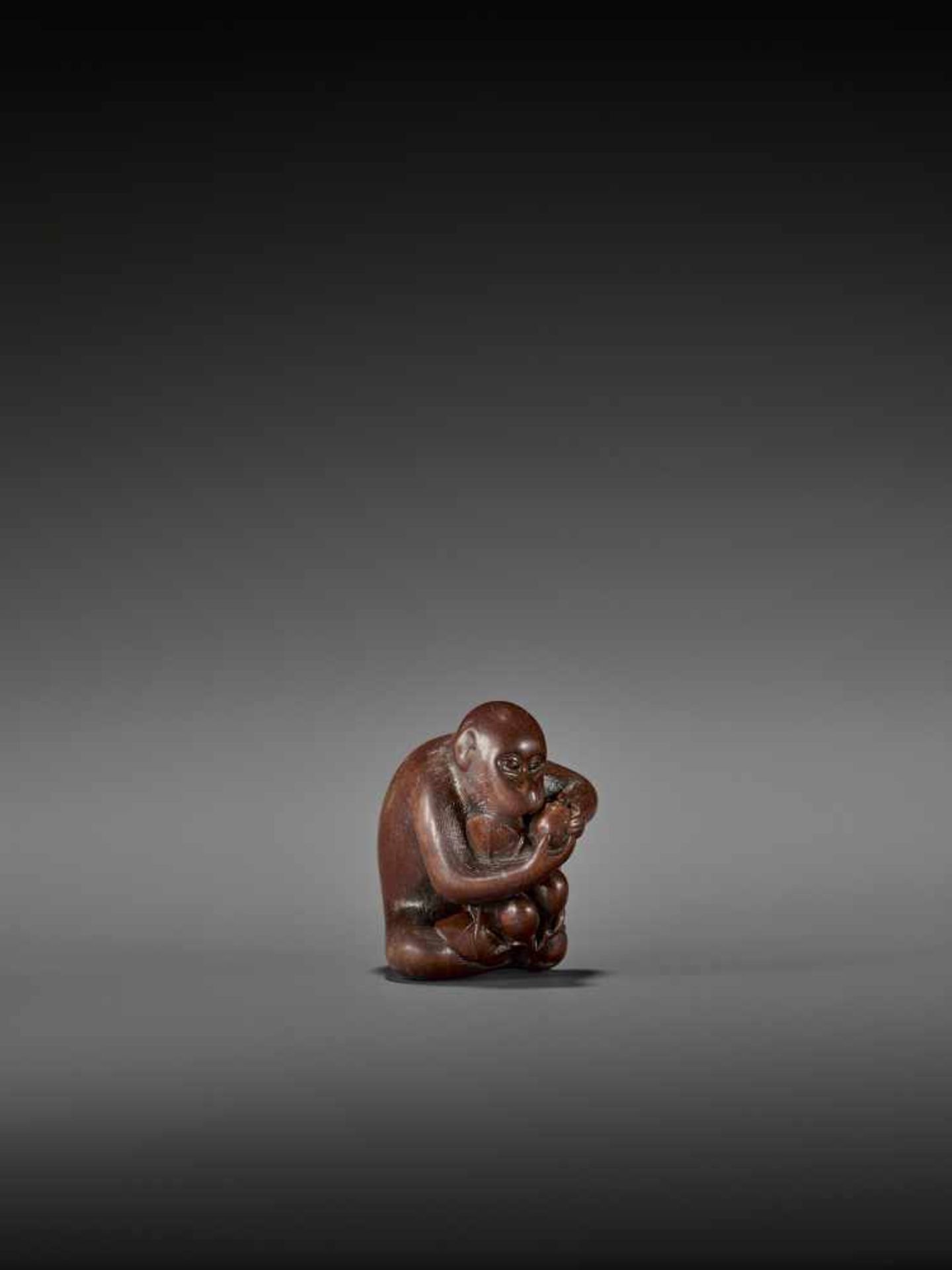 TOMOKAZU: AN EXCELLENT WOOD NETSUKE OF A MONKEY EATING PERSIMMONS By Kano Tomokazu, signed - Image 8 of 11