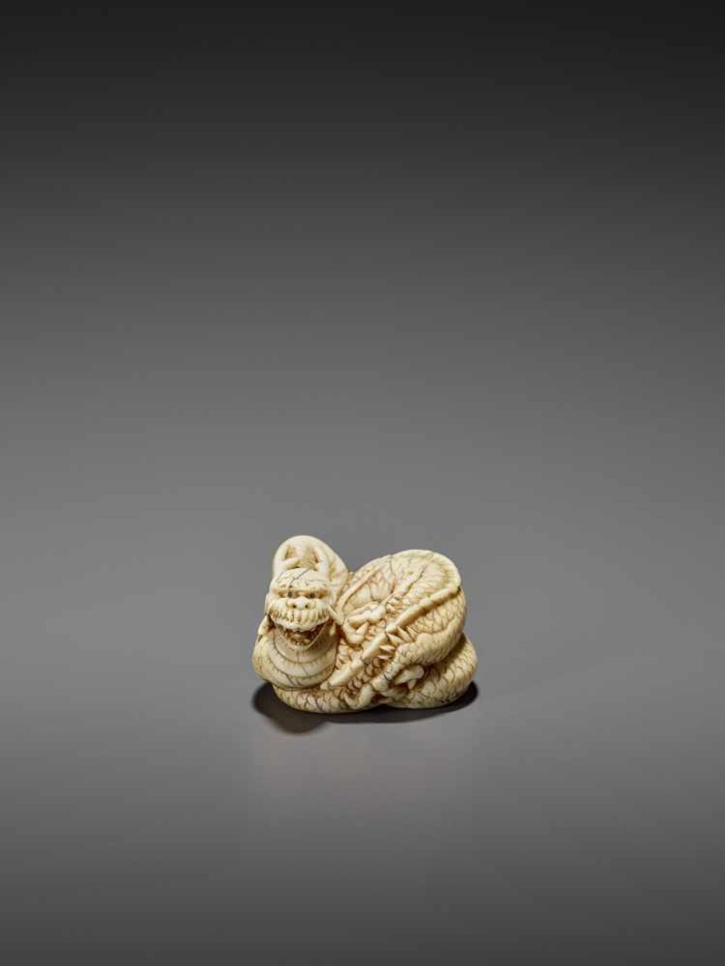 A GOOD IVORY NETSUKE OF A COILED DRAGON UnsignedJapan, Kyoto, late 18th to early 19th century, Edo - Image 2 of 10