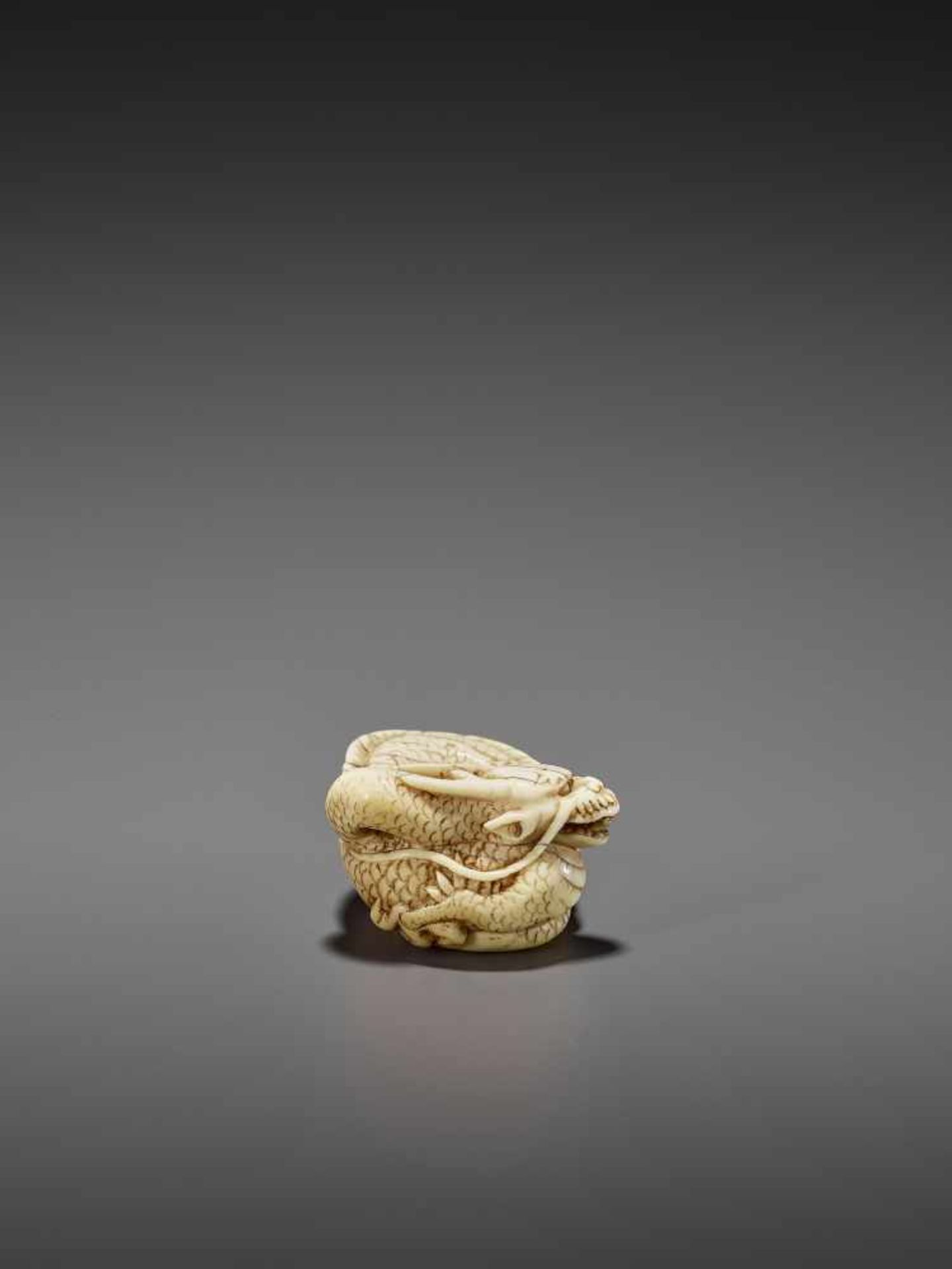 A GOOD IVORY NETSUKE OF A COILED DRAGON UnsignedJapan, Kyoto, late 18th to early 19th century, Edo - Image 7 of 10