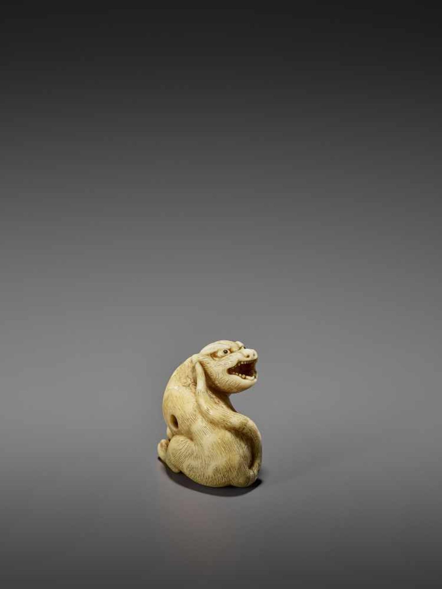 MITSUSHIGE: A POWERFUL IVORY NETSUKE OF A TIGER By Mitsushige, signed MitsushigeJapan, Kyoto, late - Image 3 of 12