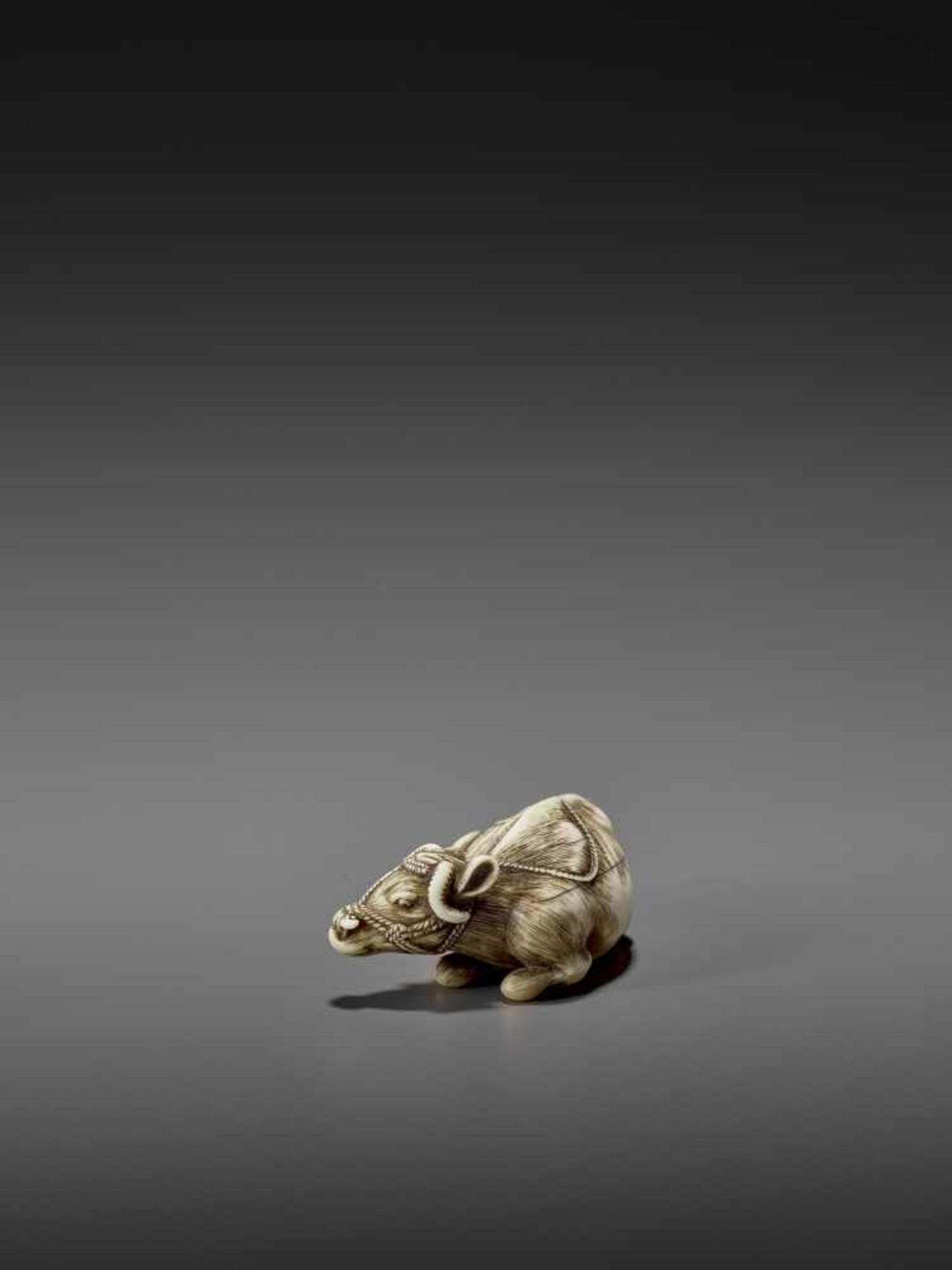 MASANAO: AN EXCELLENT IVORY NETSUKE OF A RECUMBENT COW By Masanao of Kyoto, signed MasanaoJapan, - Image 9 of 12
