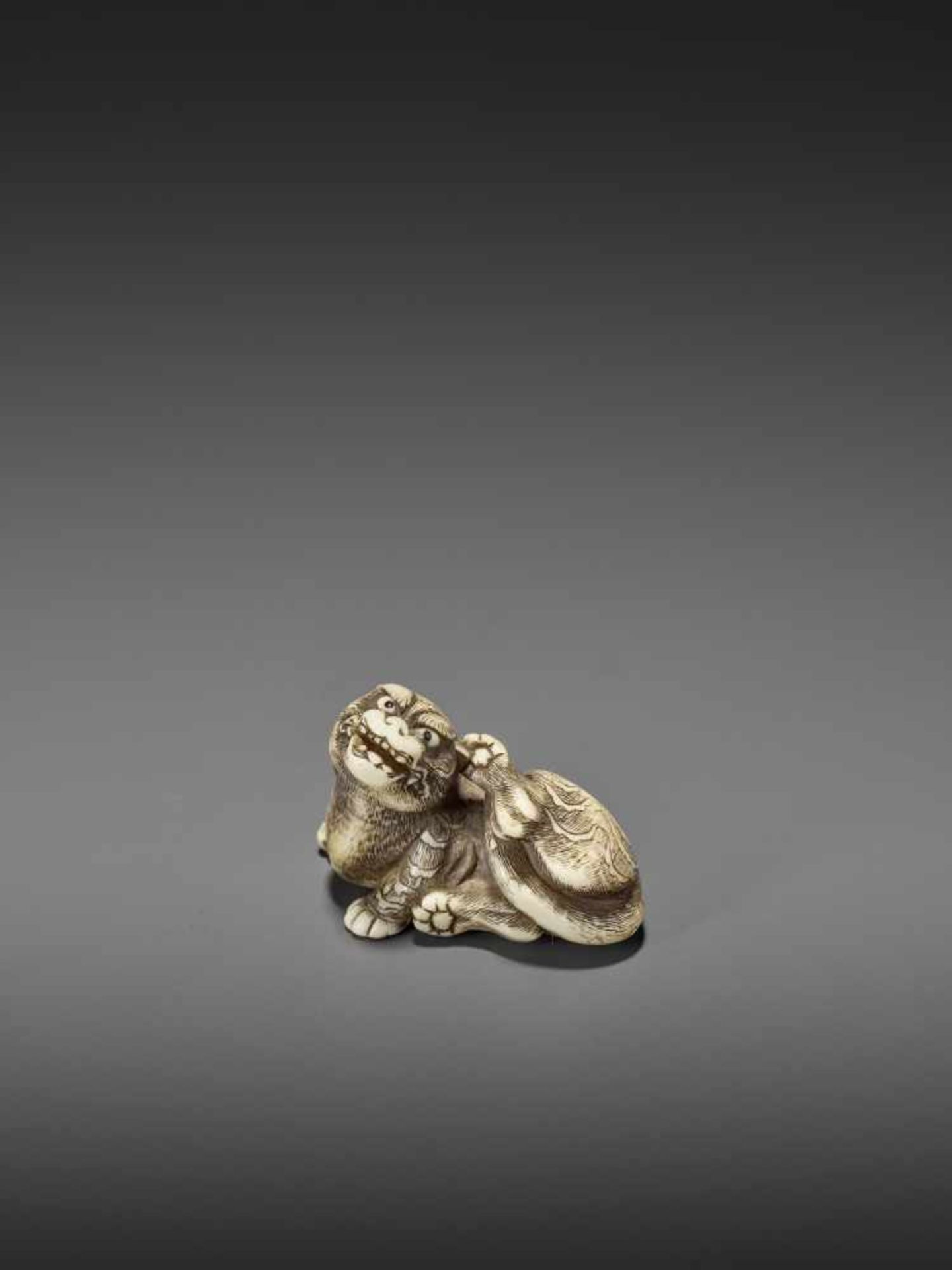 A FINE IVORY NETSUKE OF A RECUMBENT TIGER Unsigned, circle of Risuke Garaku (active ca. 1780)