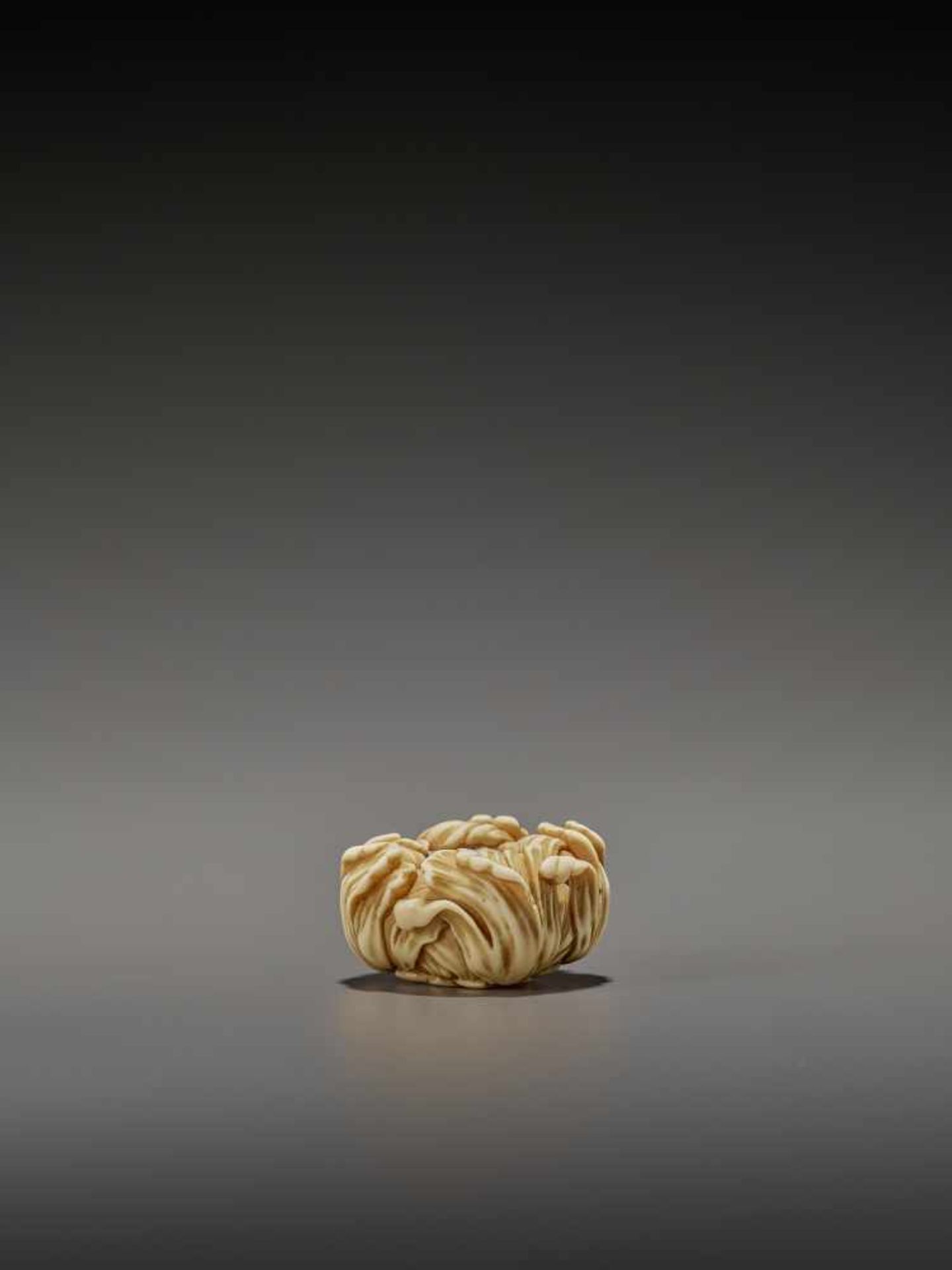 KOHOSAI: AN EXCELLENT IVORY AND GOLD NETSUKE OF A FLOWERING CHRYSANTHEMUM By Ueda Kohosai (died - Bild 10 aus 13