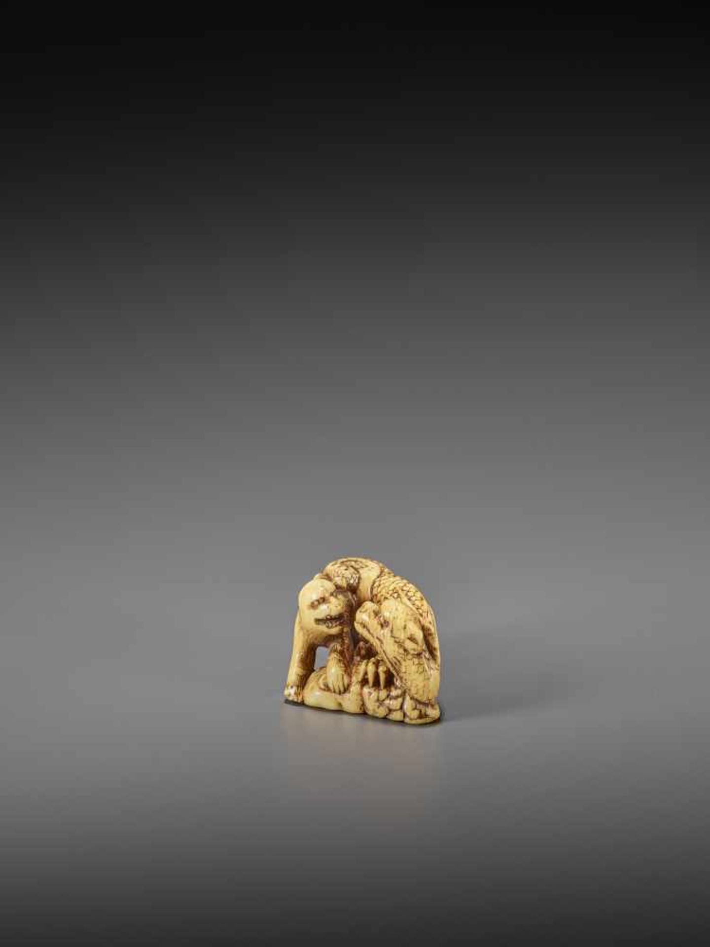 MINSEI: A POWERFUL IVORY NETSUKE OF A CONFRONTING DRAGON AND TIGER By Minsei, signed MinseiJapan, - Image 2 of 10