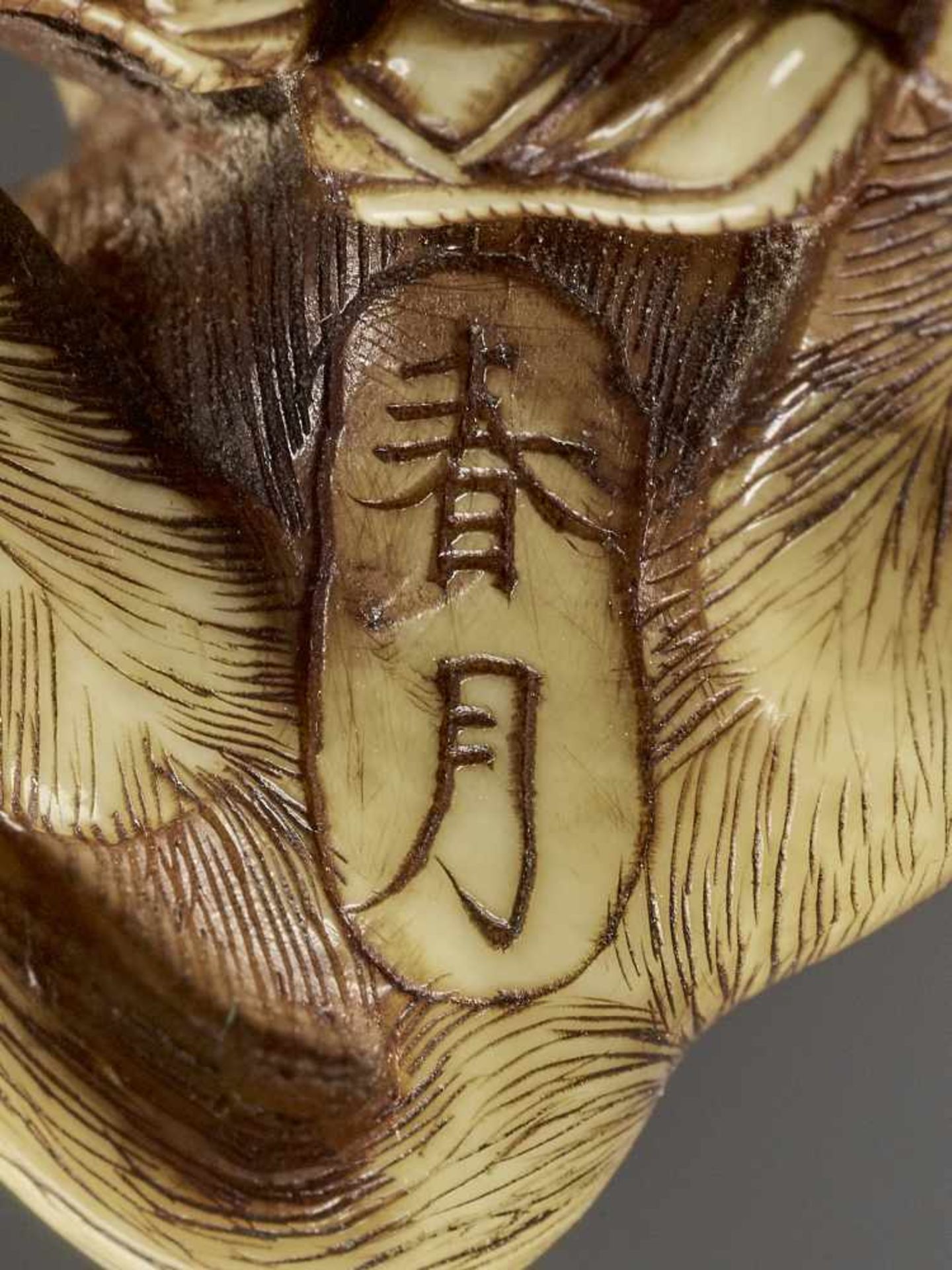 SHUNGETSU: IVORY NETSUKE OF A TANUKI SUFFOCATING A HUNTER WITH HIS SCROTUM By Shungetsu, signed - Image 11 of 11