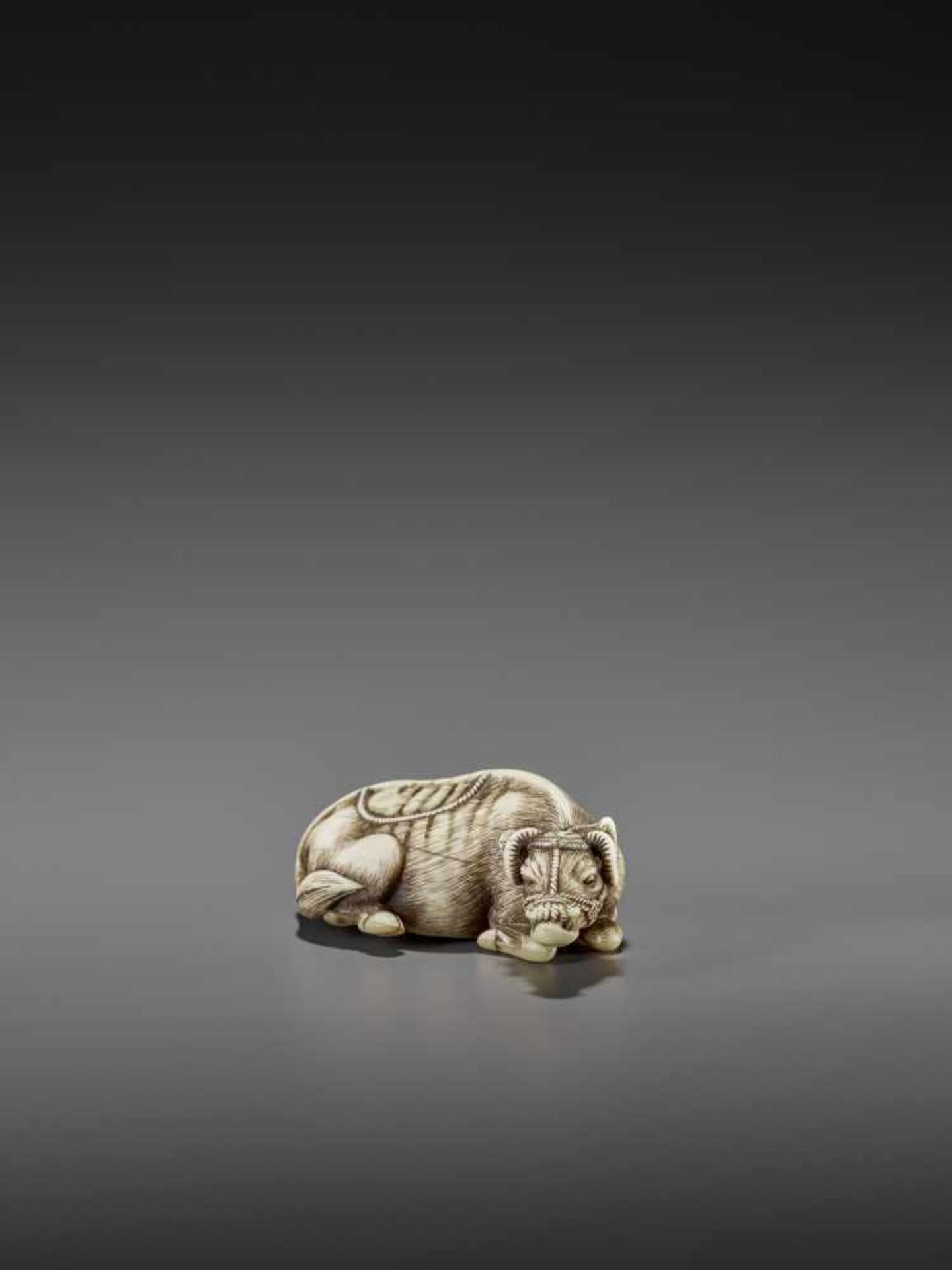 MASANAO: AN EXCELLENT IVORY NETSUKE OF A RECUMBENT COW By Masanao of Kyoto, signed MasanaoJapan, - Image 7 of 12