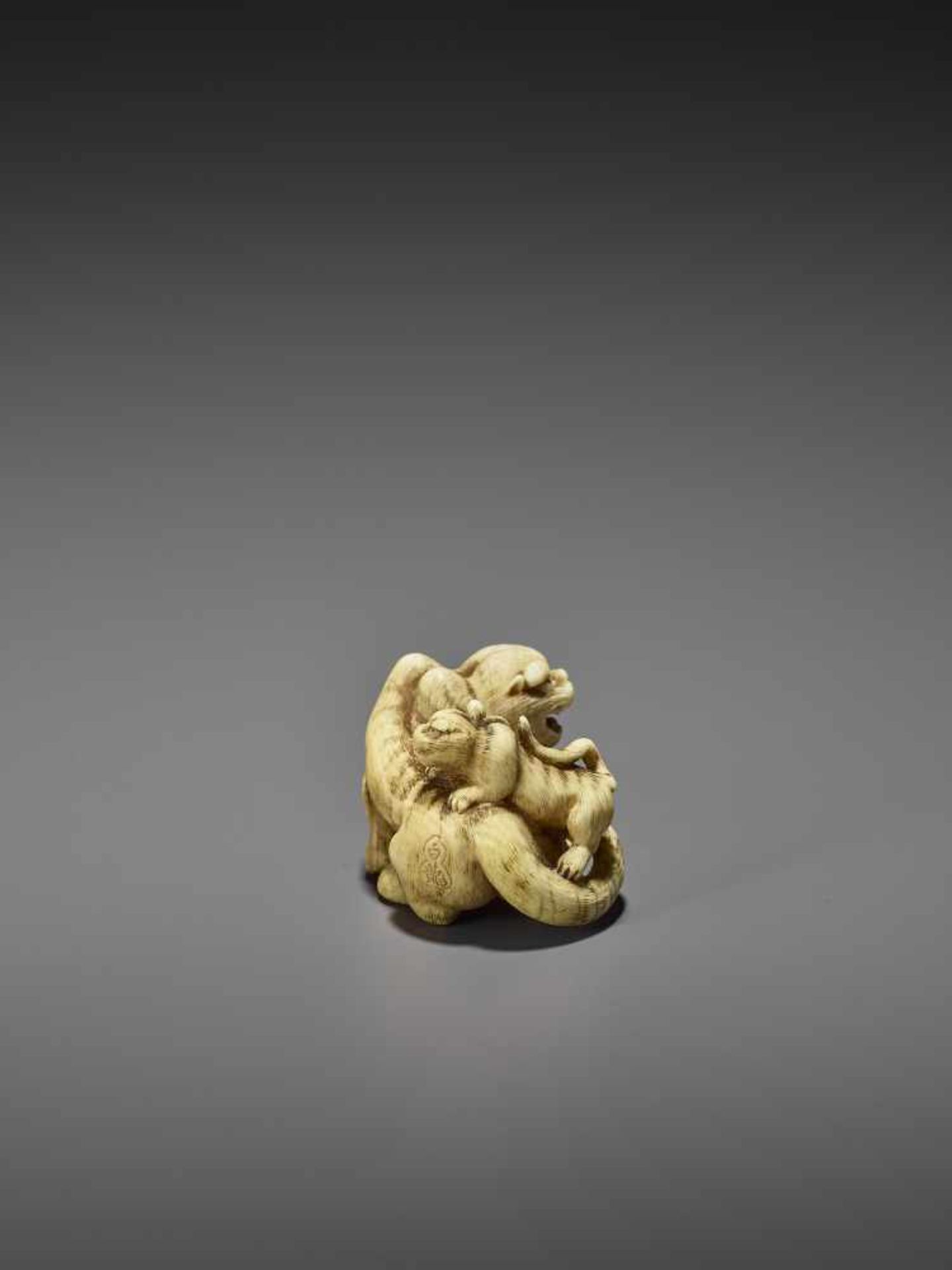 HAKURYU: AN EXCEPTIONAL IVORY NETSUKE OF A TIGER WITH TWO CUBS By Unsho Hakuryu II, signed - Image 6 of 12