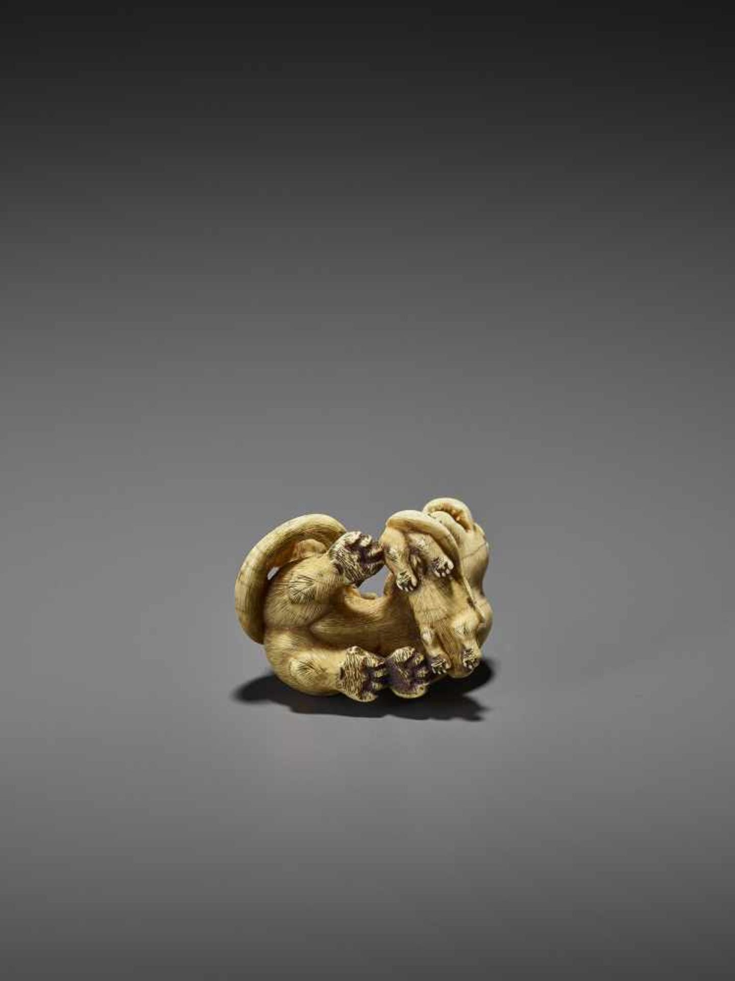 HAKURYU: AN EXCEPTIONAL IVORY NETSUKE OF A TIGER WITH TWO CUBS By Unsho Hakuryu II, signed - Bild 9 aus 12