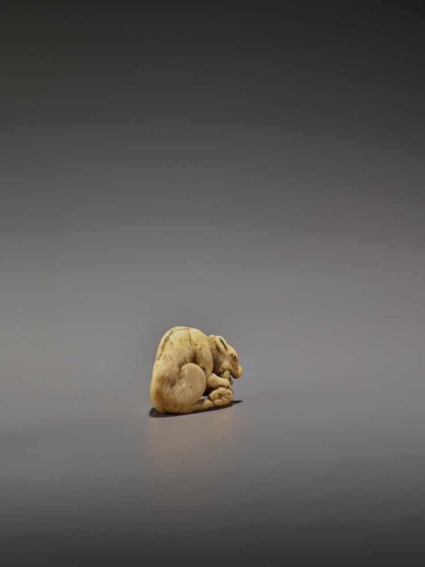 AN EARLY IVORY NETSUKE OF A WOLF WITH HAUNCH UnsignedJapan, Kyoto, 18th century, Edo period (1615- - Image 8 of 10