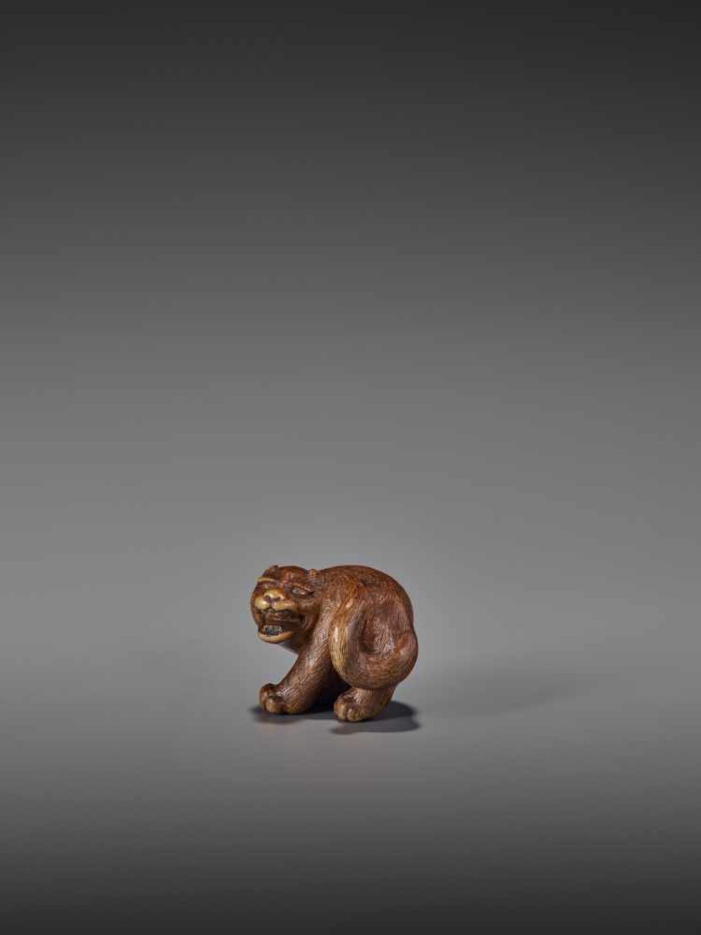 A RARE WOOD NETSUKE OF A SNARLING TIGER UnsignedJapan, 19th century, Edo period (1615-1868)A compact - Image 10 of 11