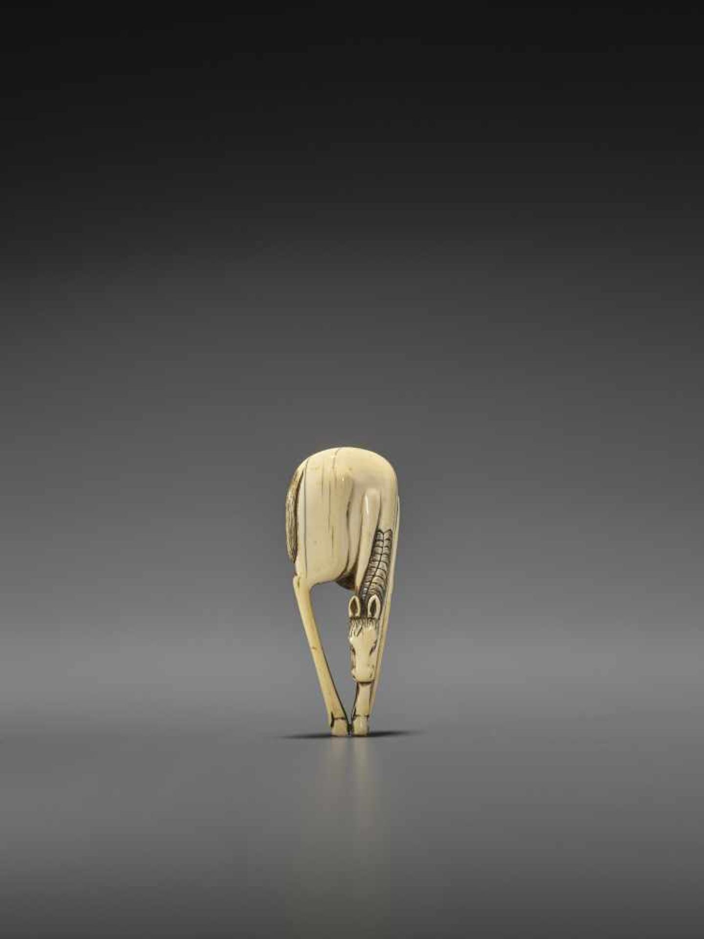 A LARGE AND RARE IVORY NETSUKE OF A GRAZING HORSE UnsignedJapan, 18th century, Edo period (1615- - Image 4 of 8