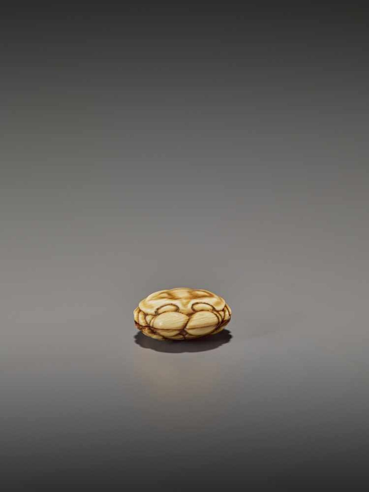 A FINELY STAINED WALRUS IVORY TWO-PART MANJU NETSUKE OF A CRAB UnsignedJapan, Osaka, early to mid- - Image 9 of 10