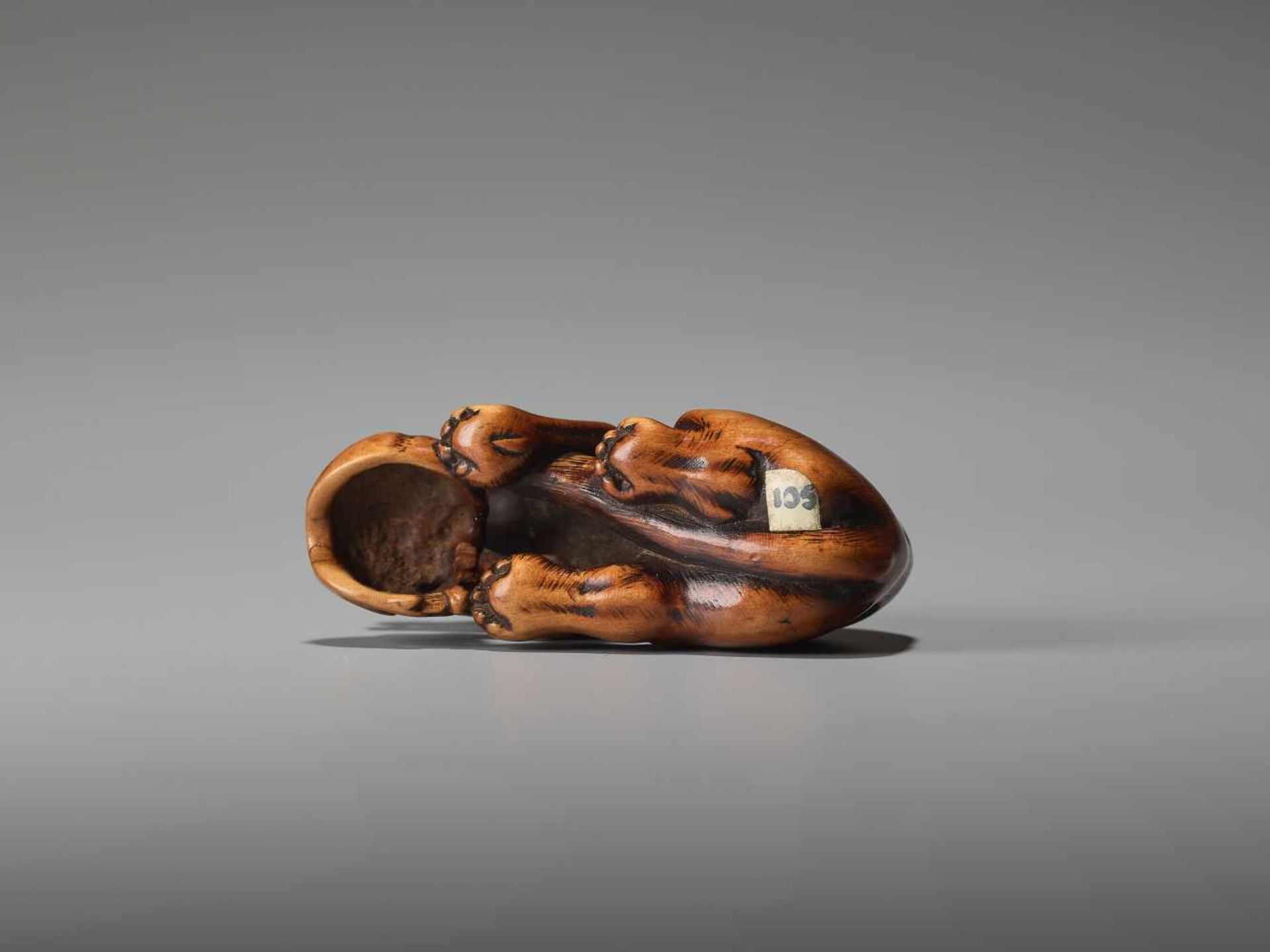 A POWERFUL WOOD NETSUKE OF A WOLF WITH A SKULL UnsignedJapan, 18th century, Edo period (1615-1868) - Image 8 of 9