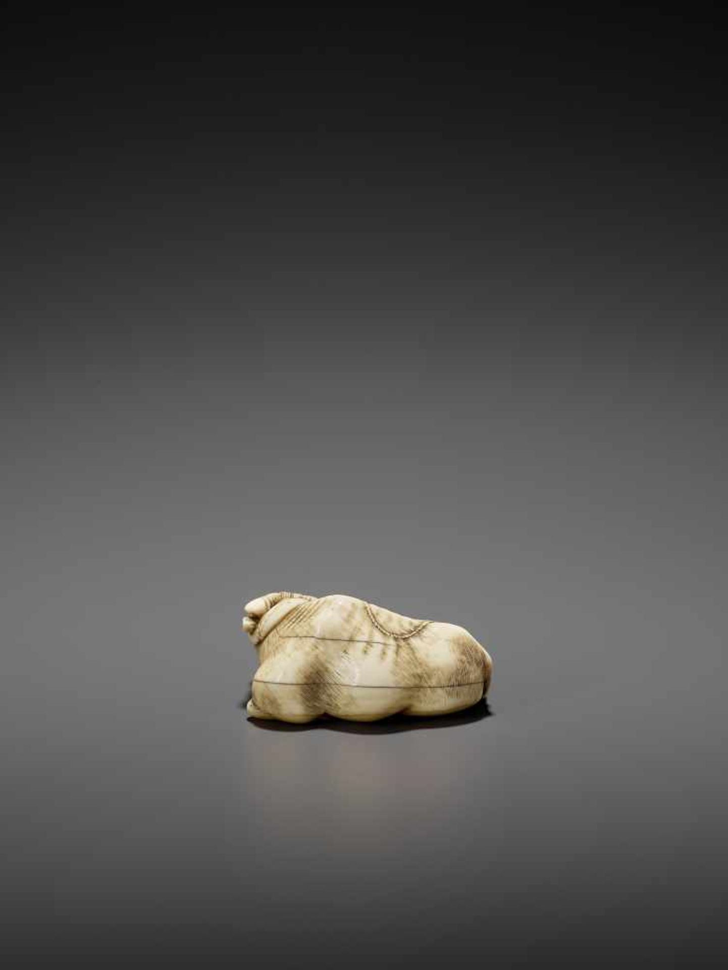 A POWERFUL IVORY NETSUKE OF A RECUMBENT OX LICKING ITS NOSE ATTRIBUTED TO RISUKE GARAKU Unsigned, - Image 10 of 14