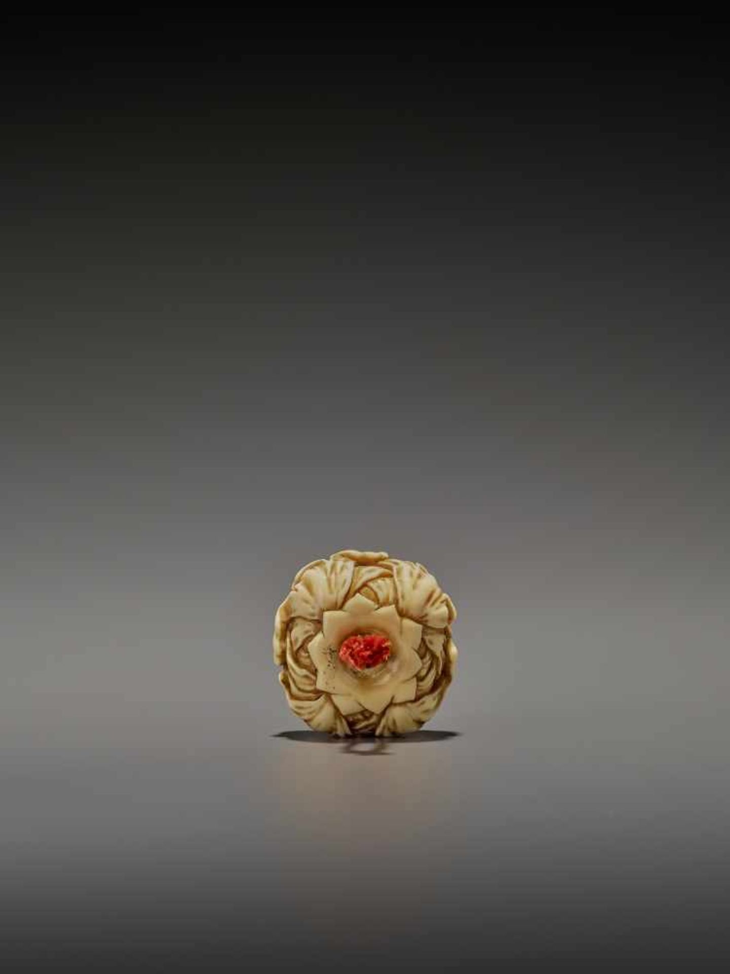 KOHOSAI: AN EXCELLENT IVORY AND GOLD NETSUKE OF A FLOWERING CHRYSANTHEMUM By Ueda Kohosai (died - Bild 6 aus 13