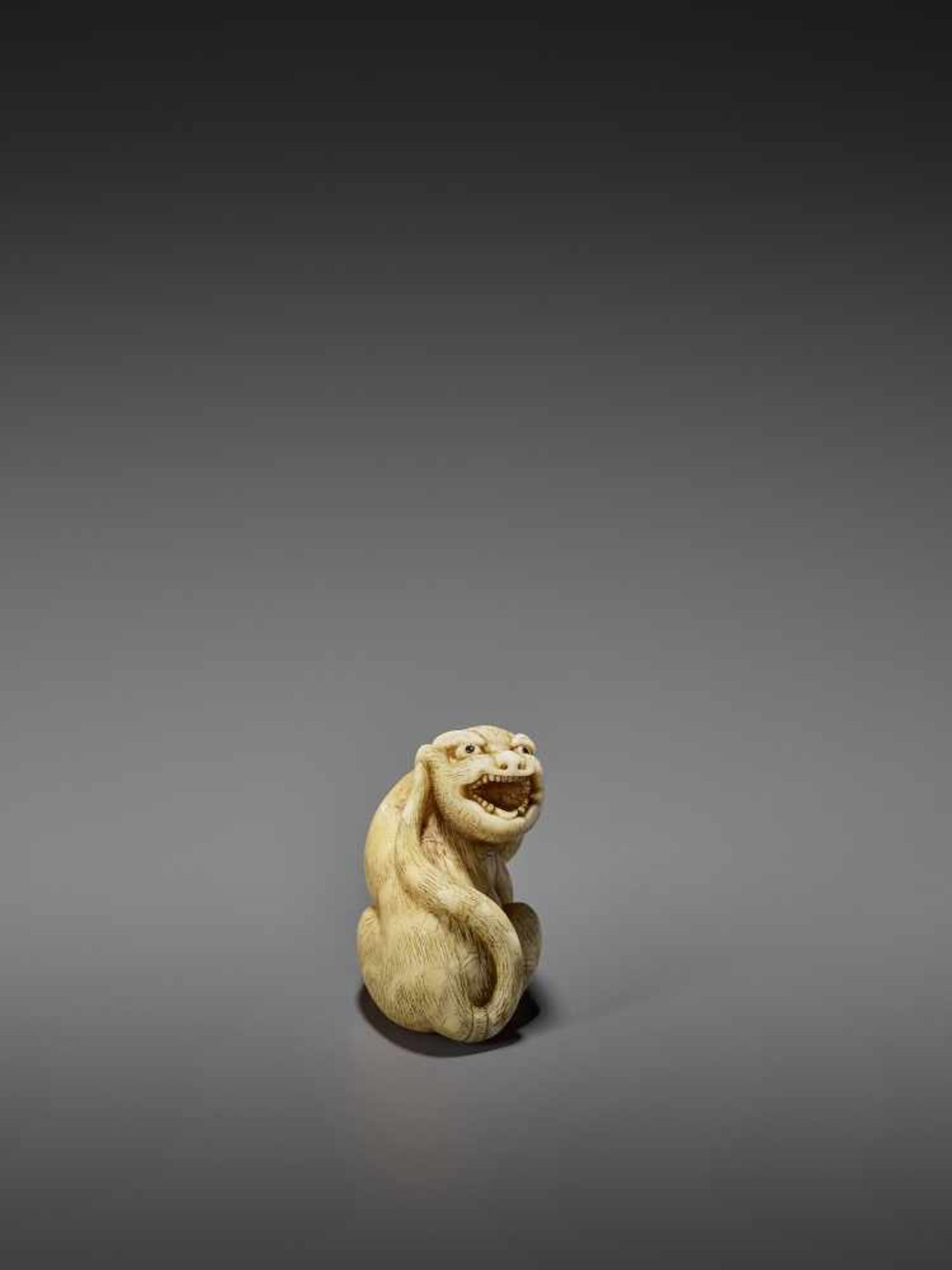 MITSUSHIGE: A POWERFUL IVORY NETSUKE OF A TIGER By Mitsushige, signed MitsushigeJapan, Kyoto, late - Image 7 of 12