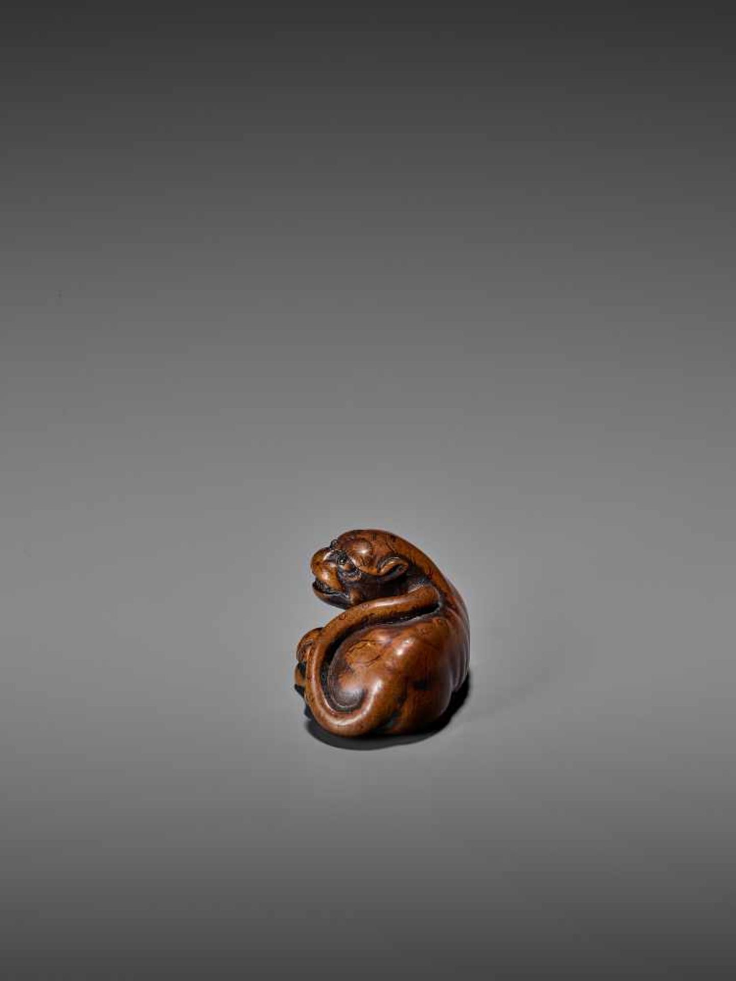 AN AMUSING WOOD NETSUKE OF A RECUMBENT TIGER UnsignedJapan, early 19th century, Edo period (1615- - Bild 4 aus 9