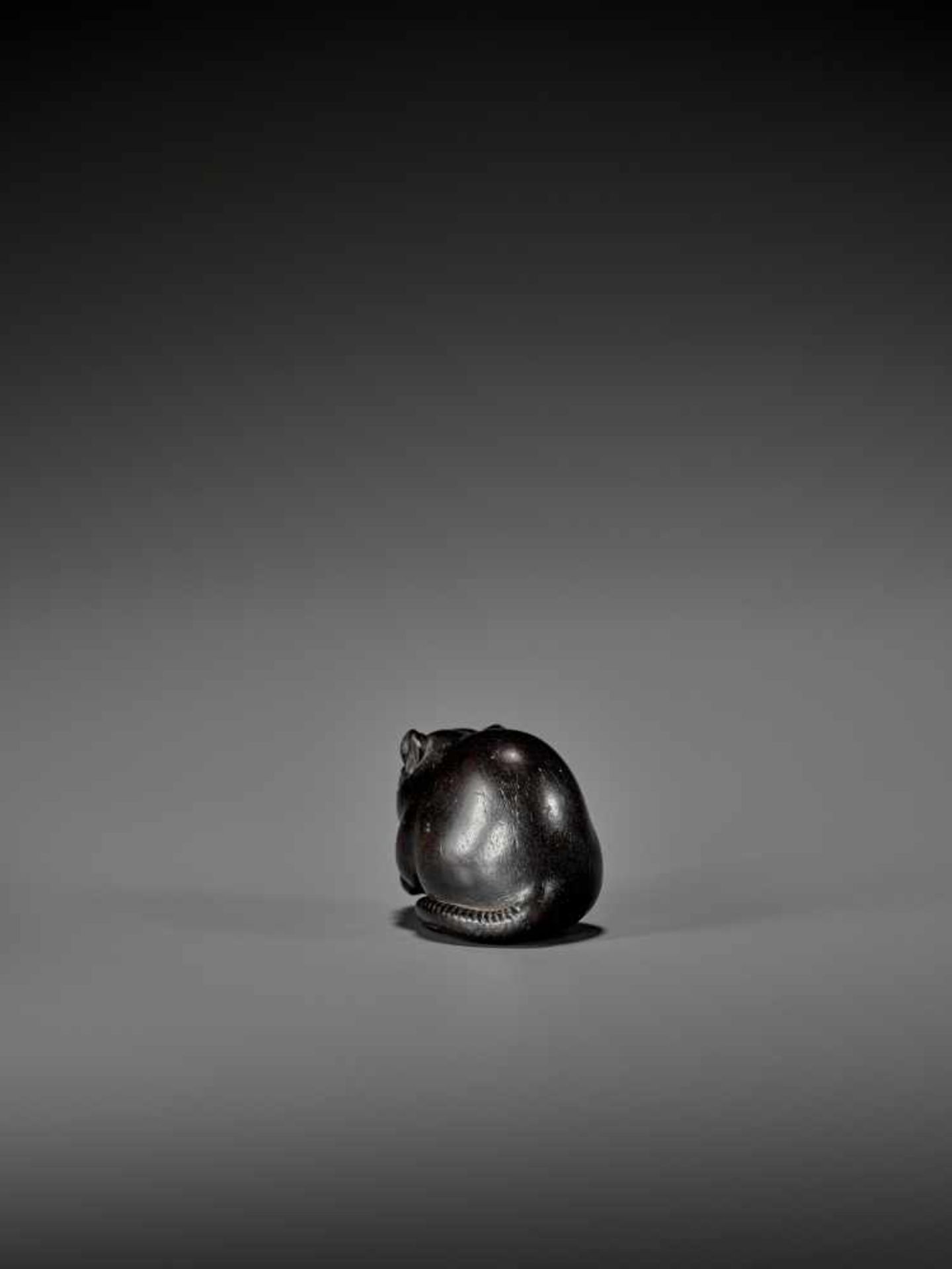 OKATORI: A RARE AND EXCELLENT EBONY WOOD NETSUKE OF A HUNGRY RAT By Okatori, signed OkatoriJapan, - Image 6 of 11