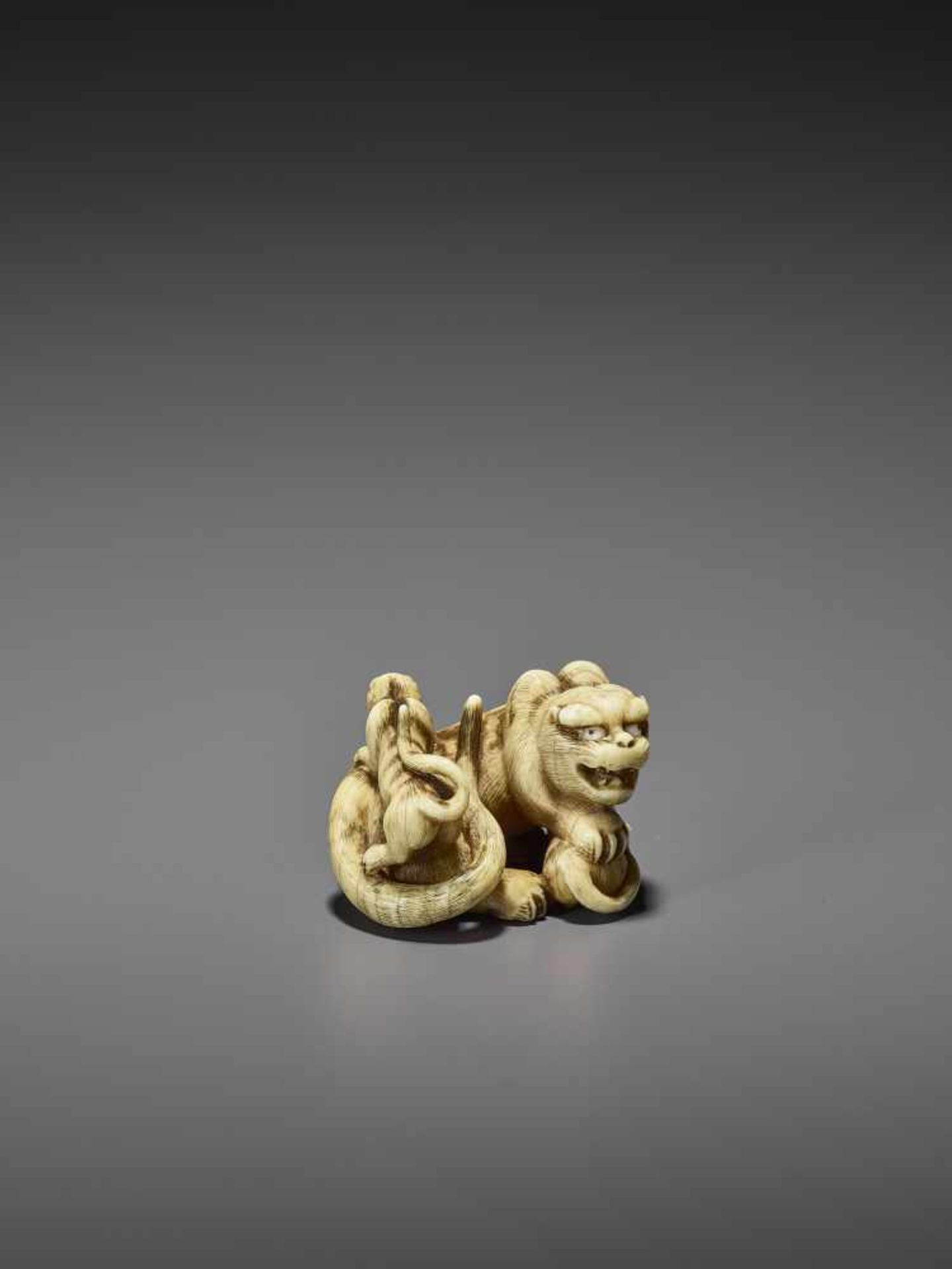 HAKURYU: AN EXCEPTIONAL IVORY NETSUKE OF A TIGER WITH TWO CUBS By Unsho Hakuryu II, signed - Bild 7 aus 12