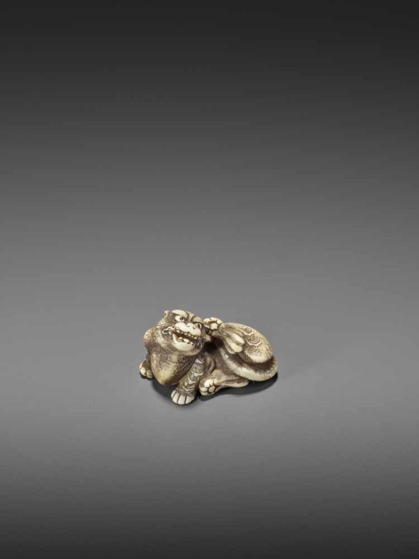 A FINE IVORY NETSUKE OF A RECUMBENT TIGER Unsigned, circle of Risuke Garaku (active ca. 1780) - Image 10 of 11