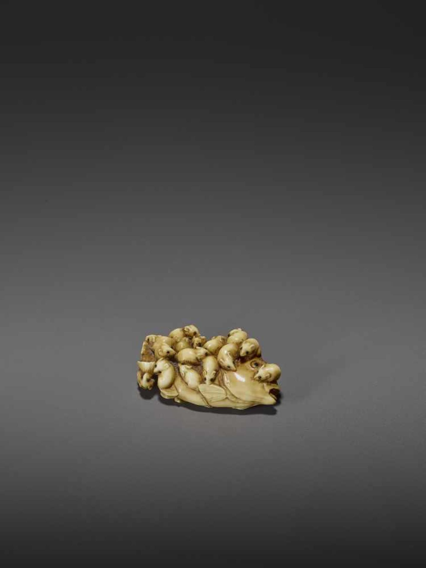 MASAMITSU: A FINE IVORY NETSUKE OF A SWARM OF RATS ON A SEA BREAM By Masamitsu, signed - Image 10 of 11