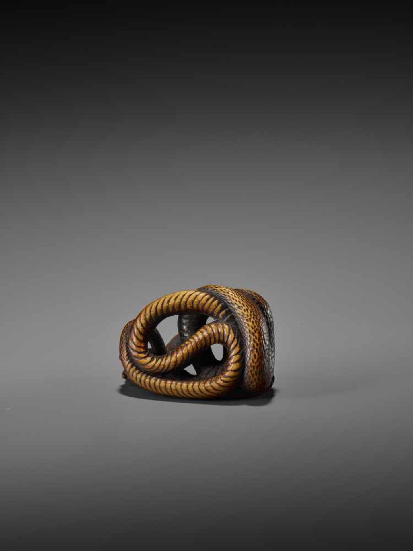 AN EXCELLENT WOOD NETSUKE OF A FROG WITH SNAKE, SANSUKUMI UnsignedJapan, late 18th century, Edo - Image 3 of 9