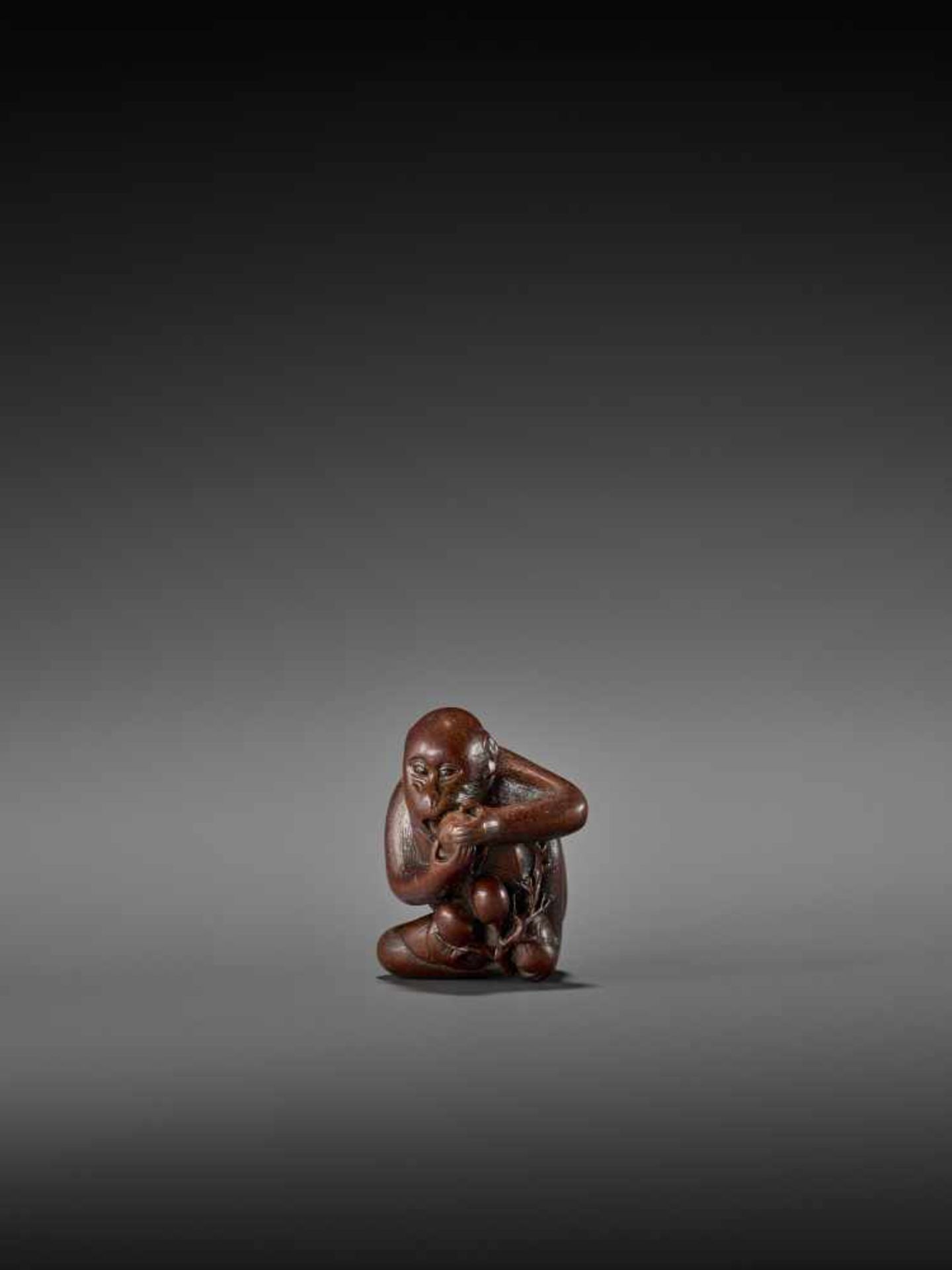 TOMOKAZU: AN EXCELLENT WOOD NETSUKE OF A MONKEY EATING PERSIMMONS By Kano Tomokazu, signed - Image 2 of 11