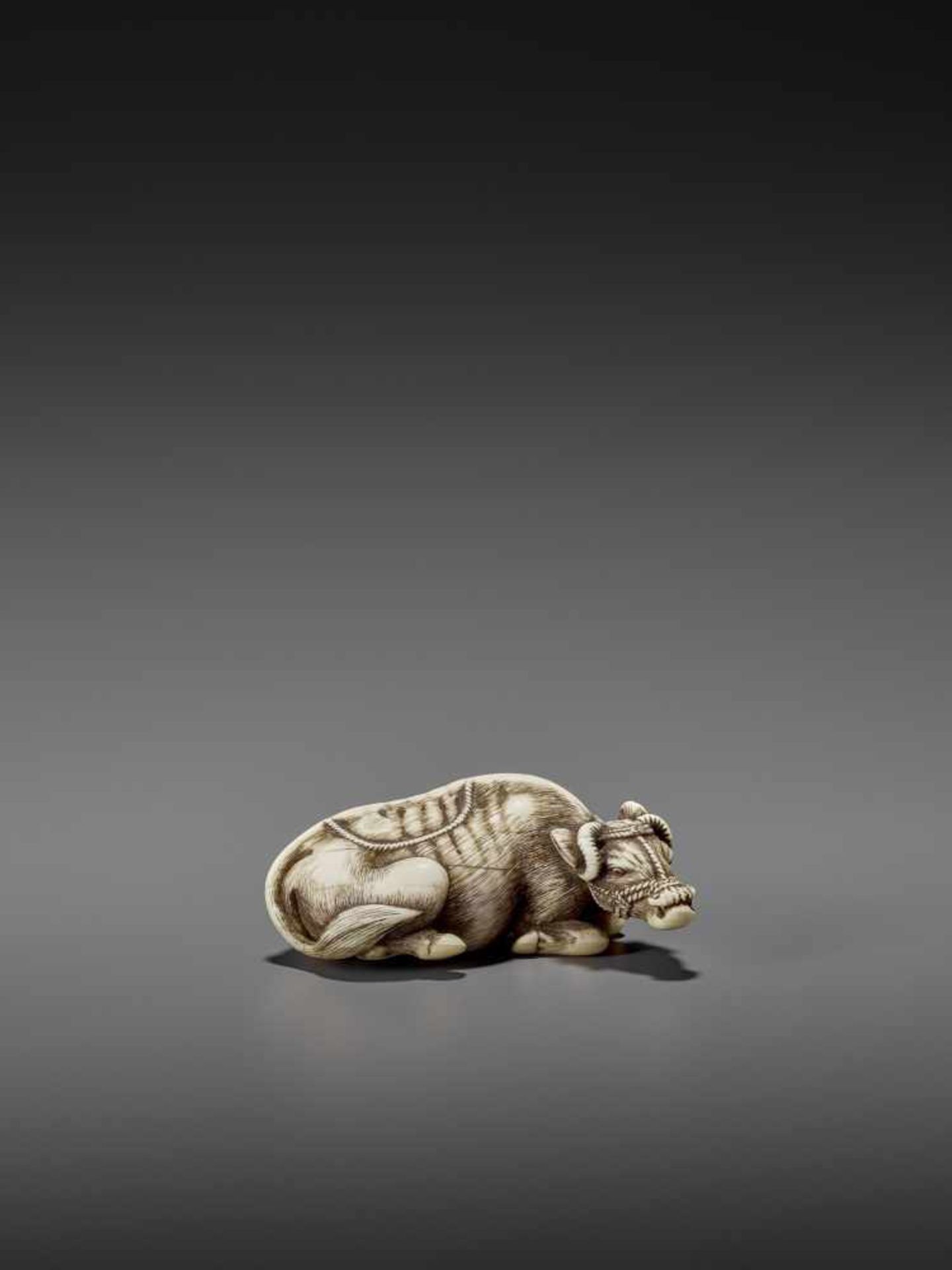 MASANAO: AN EXCELLENT IVORY NETSUKE OF A RECUMBENT COW By Masanao of Kyoto, signed MasanaoJapan,