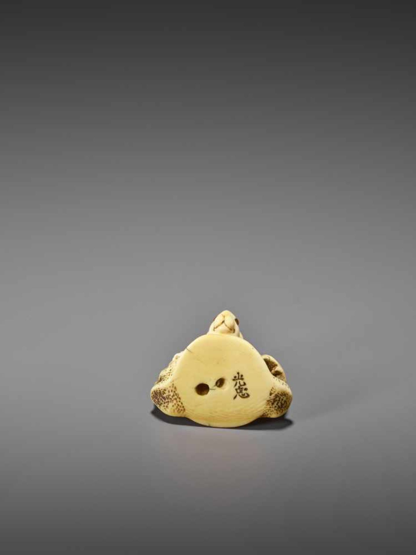 MITSUTADA: A FINE IVORY NETSUKE OF A RABBIT AND YOUNG By Mitsutada, signed MitsutadaJapan, Osaka, - Image 10 of 11