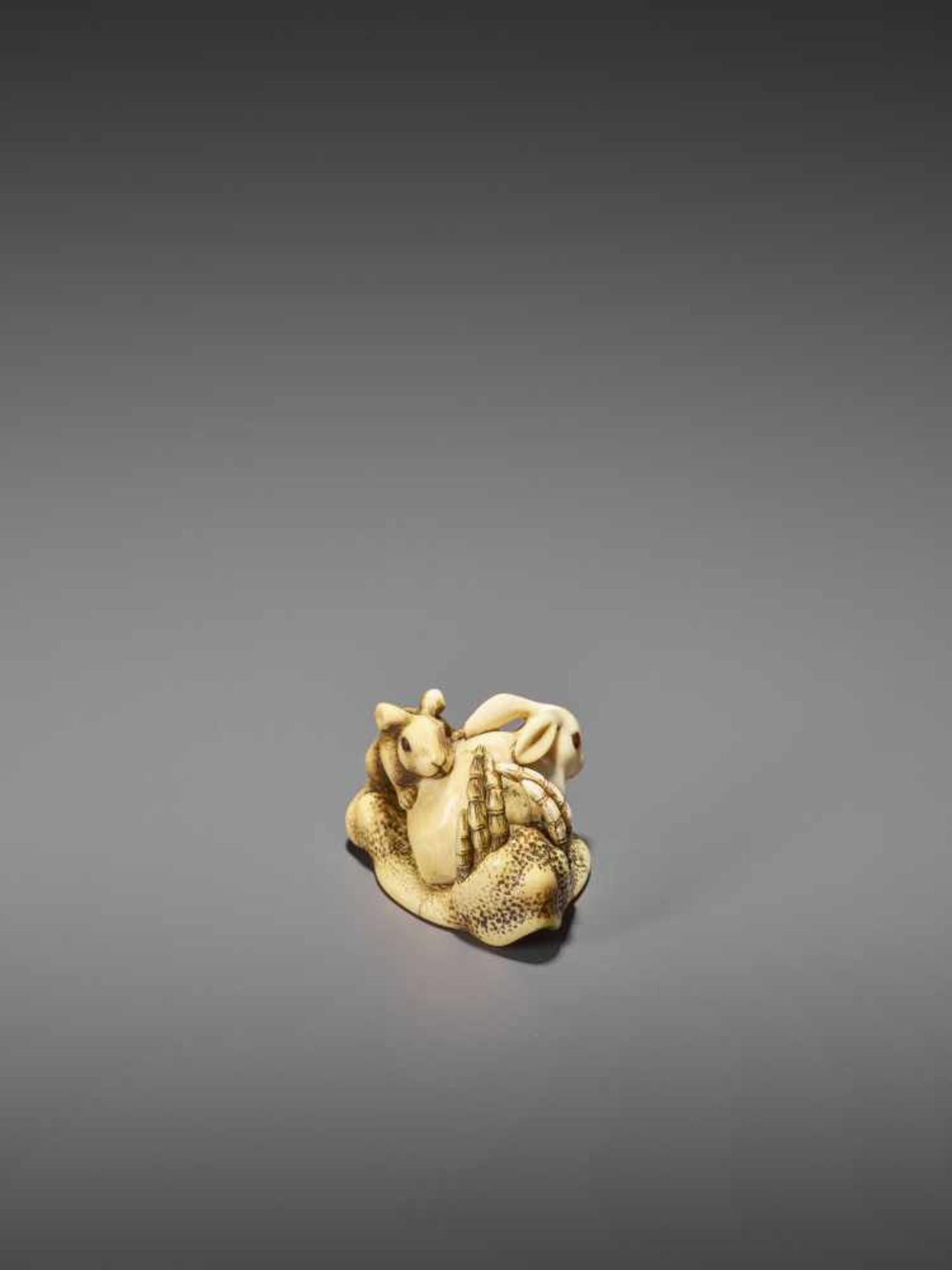 MITSUTADA: A FINE IVORY NETSUKE OF A RABBIT AND YOUNG By Mitsutada, signed MitsutadaJapan, Osaka, - Bild 8 aus 11