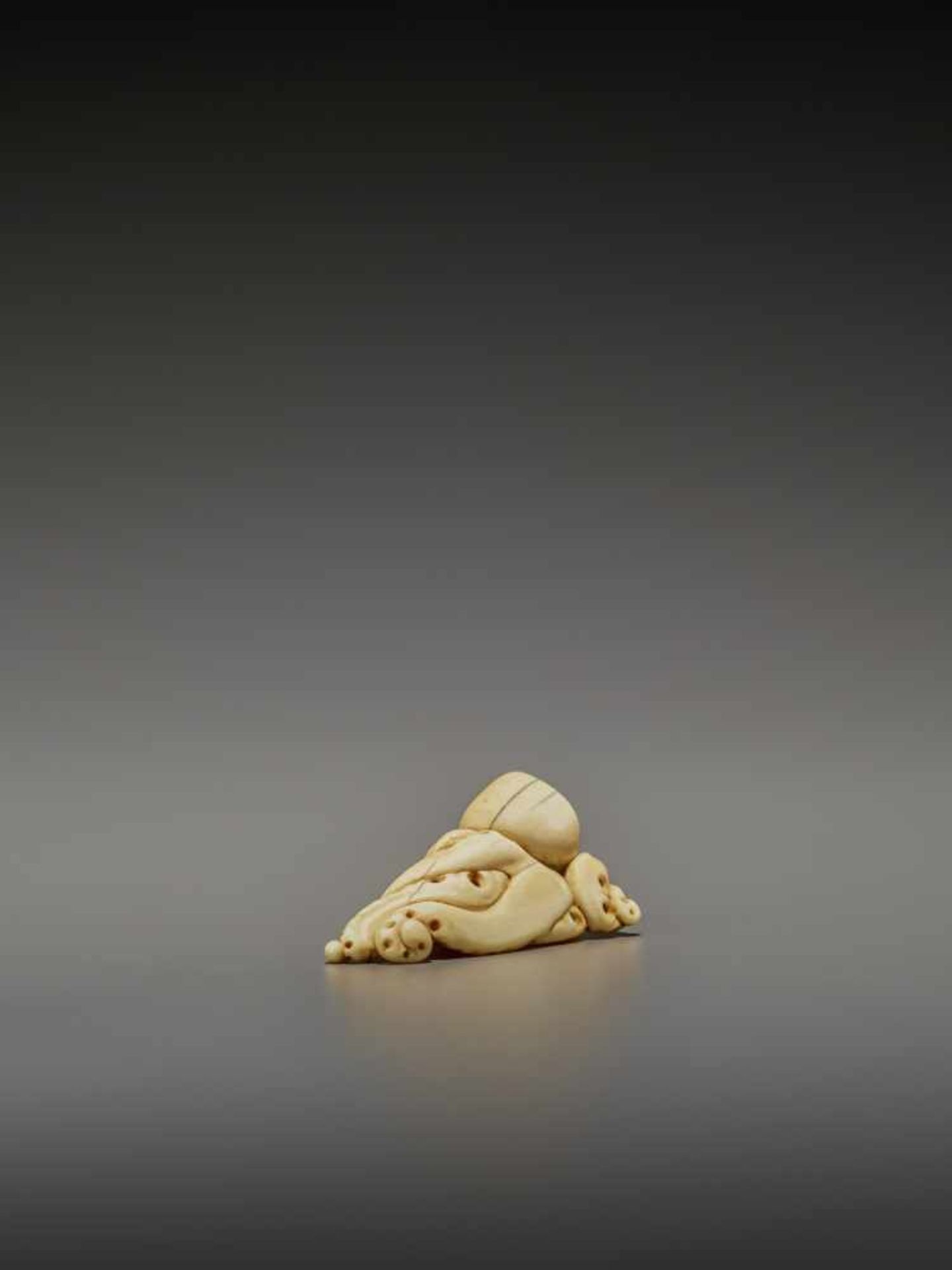 A RARE IVORY NETSUKE OF AN OCTOPUS UnsignedJapan, early 19th century, Edo period (1615-1868)The - Image 8 of 11