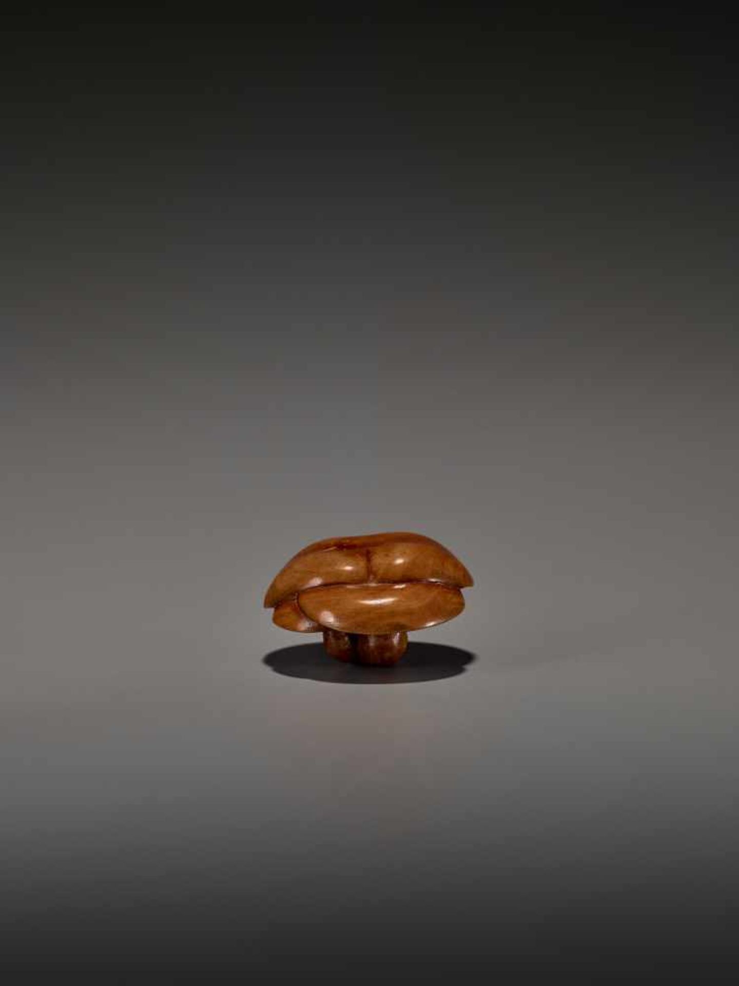 A FINE WOOD NETSUKE OF THREE MUSHROOMS UnsignedJapan, probably Nagoya, early 19th century, Edo - Image 4 of 7