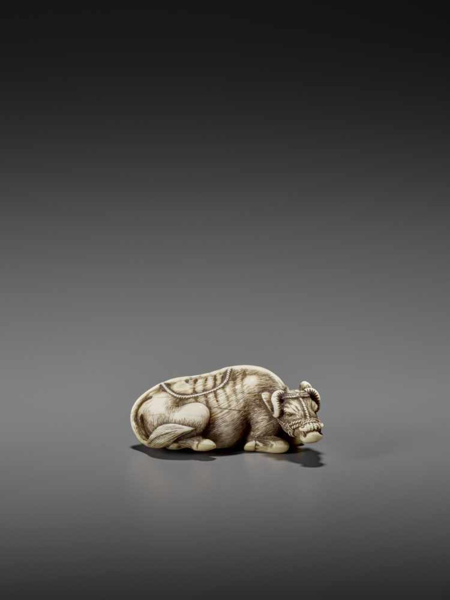 MASANAO: AN EXCELLENT IVORY NETSUKE OF A RECUMBENT COW By Masanao of Kyoto, signed MasanaoJapan, - Bild 4 aus 12