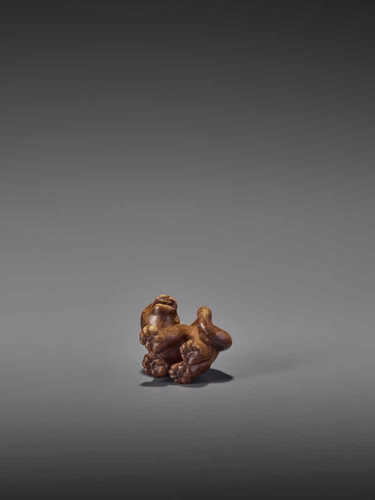 A RARE WOOD NETSUKE OF A SNARLING TIGER UnsignedJapan, 19th century, Edo period (1615-1868)A compact - Image 11 of 11