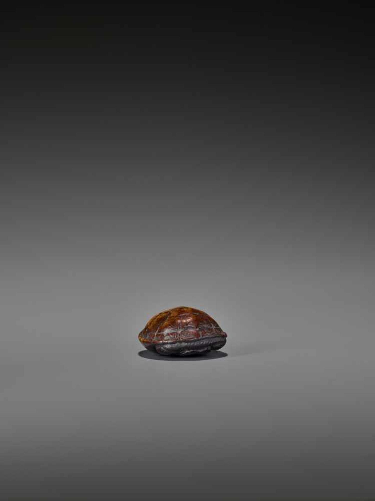 A WOOD NETSUKE OF A RETRACTED TORTOISE UnsignedJapan, 18th century, Edo period (1615-1868)This early - Image 6 of 10