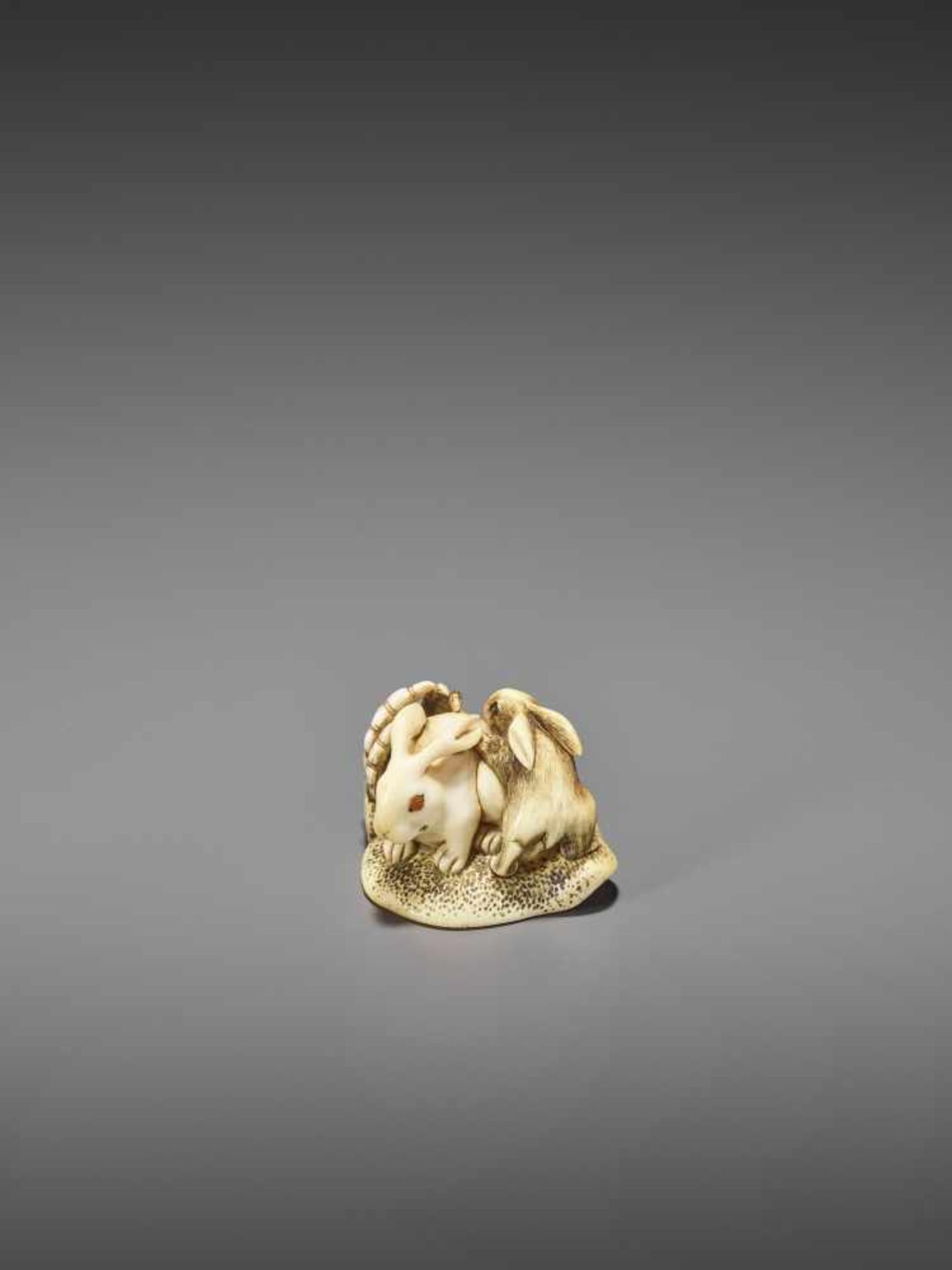 MITSUTADA: A FINE IVORY NETSUKE OF A RABBIT AND YOUNG By Mitsutada, signed MitsutadaJapan, Osaka, - Image 6 of 11