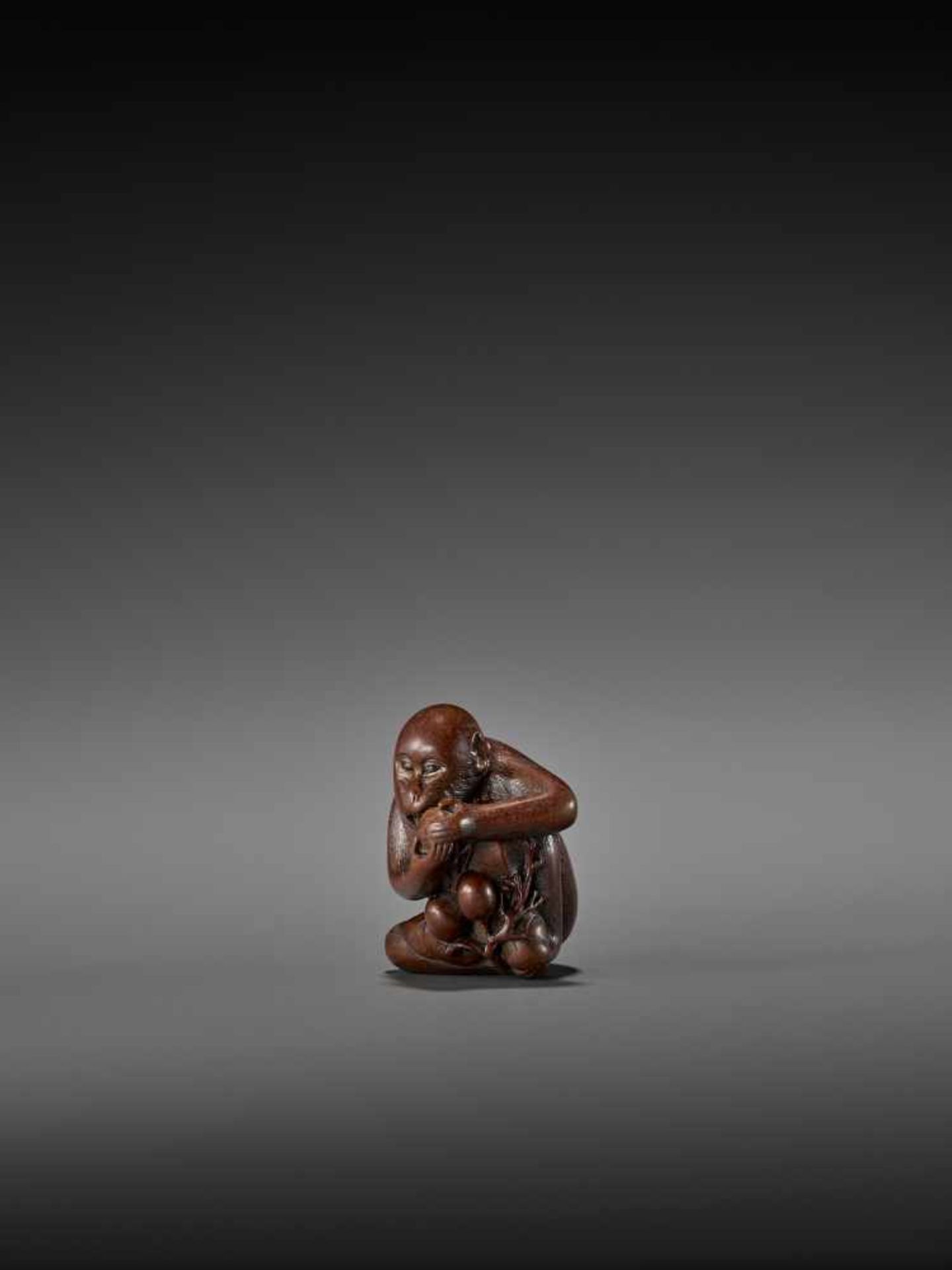 TOMOKAZU: AN EXCELLENT WOOD NETSUKE OF A MONKEY EATING PERSIMMONS By Kano Tomokazu, signed - Image 4 of 11