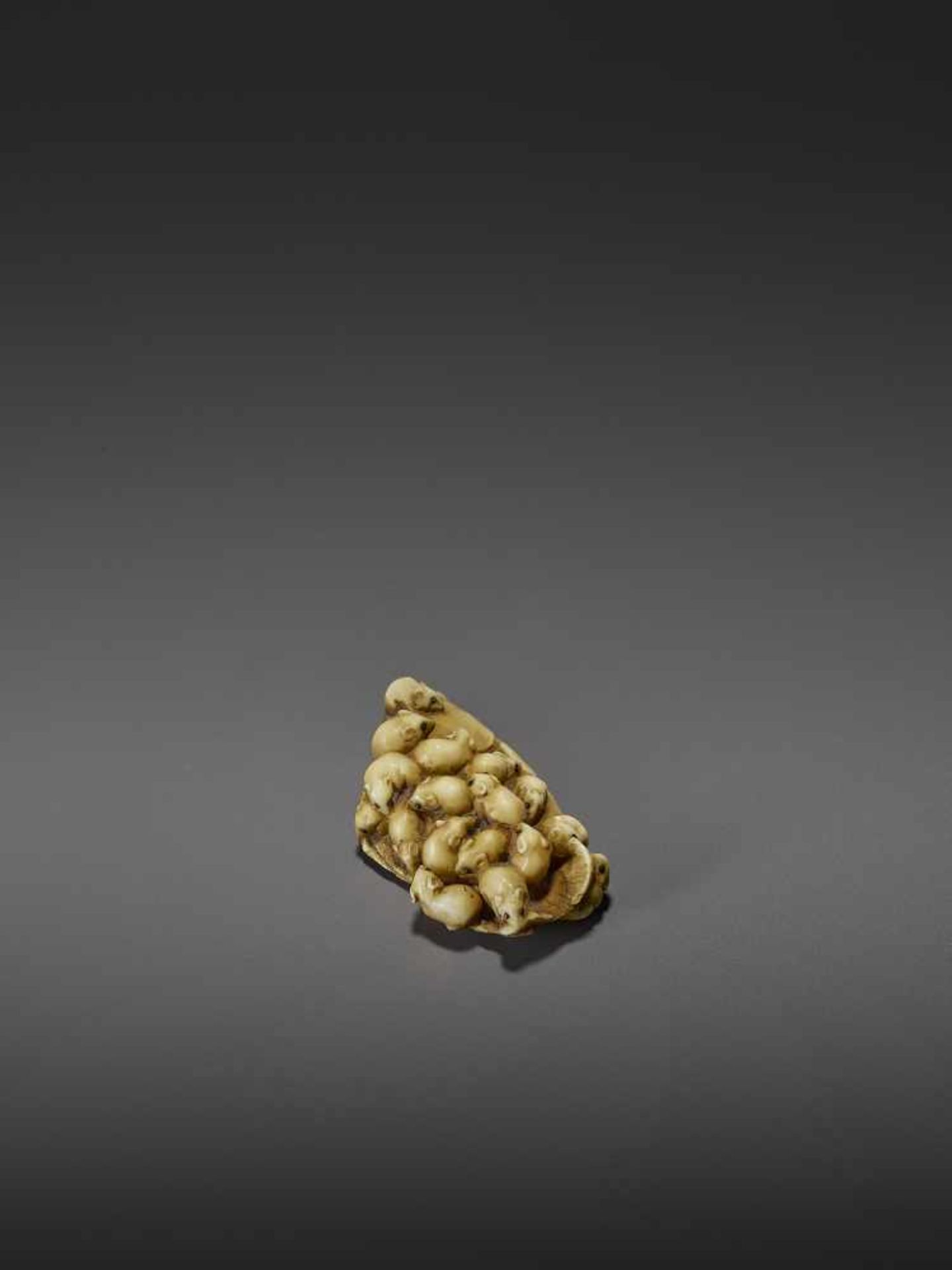 MASAMITSU: A FINE IVORY NETSUKE OF A SWARM OF RATS ON A SEA BREAM By Masamitsu, signed - Image 7 of 11